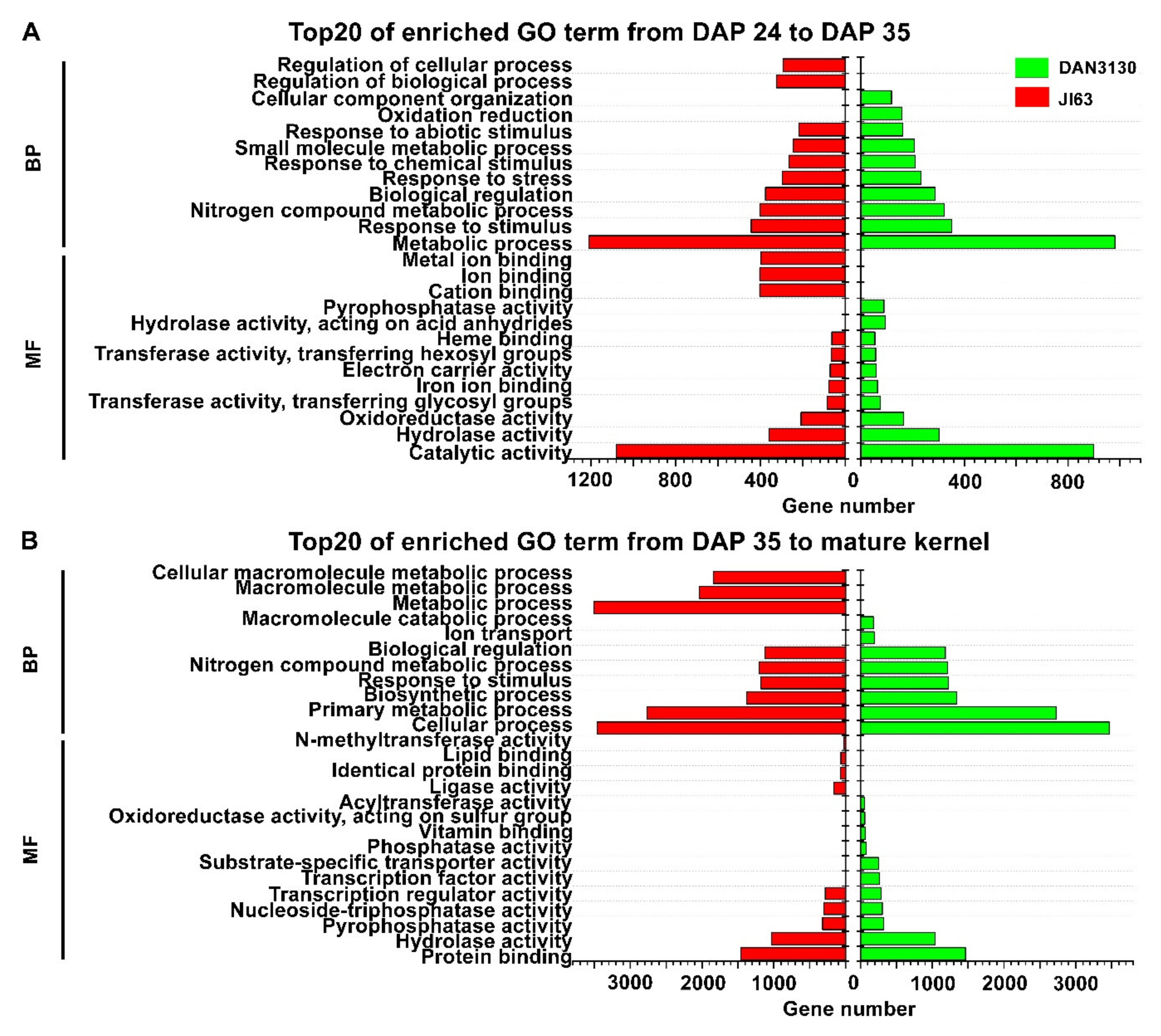 Ijms 23 01708 g004 Ijms 23 01708 g004