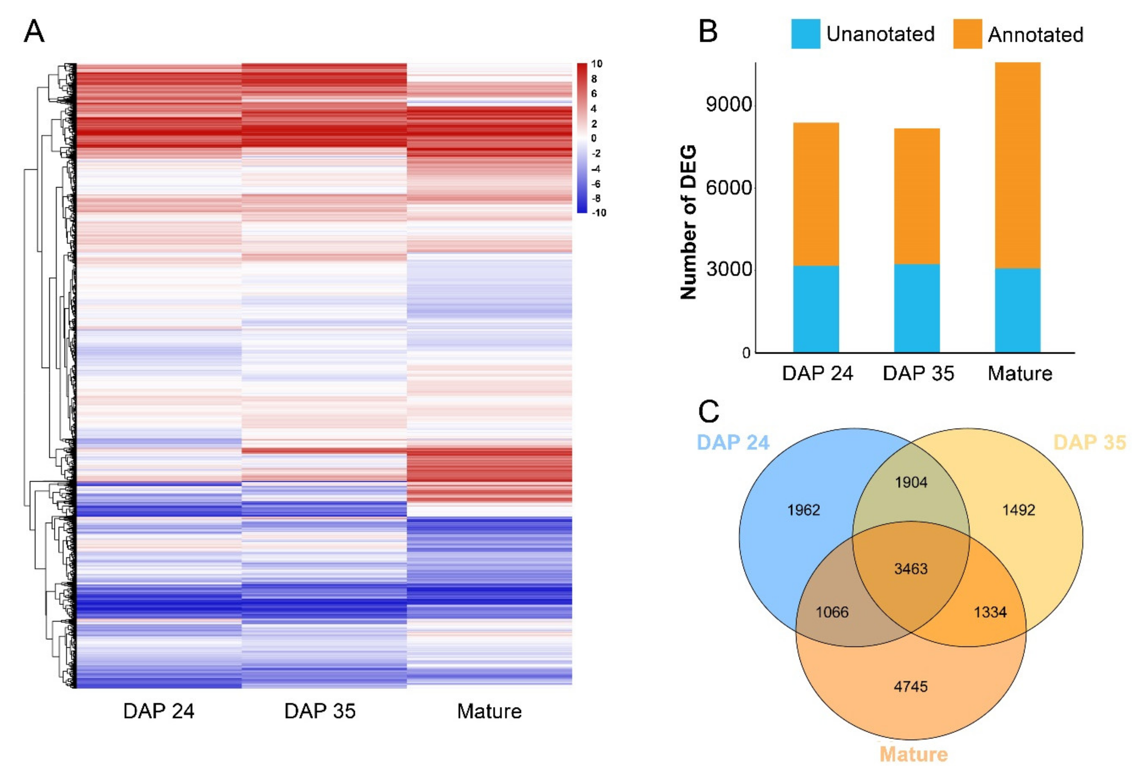 Ijms 23 01708 g006 Ijms 23 01708 g006
