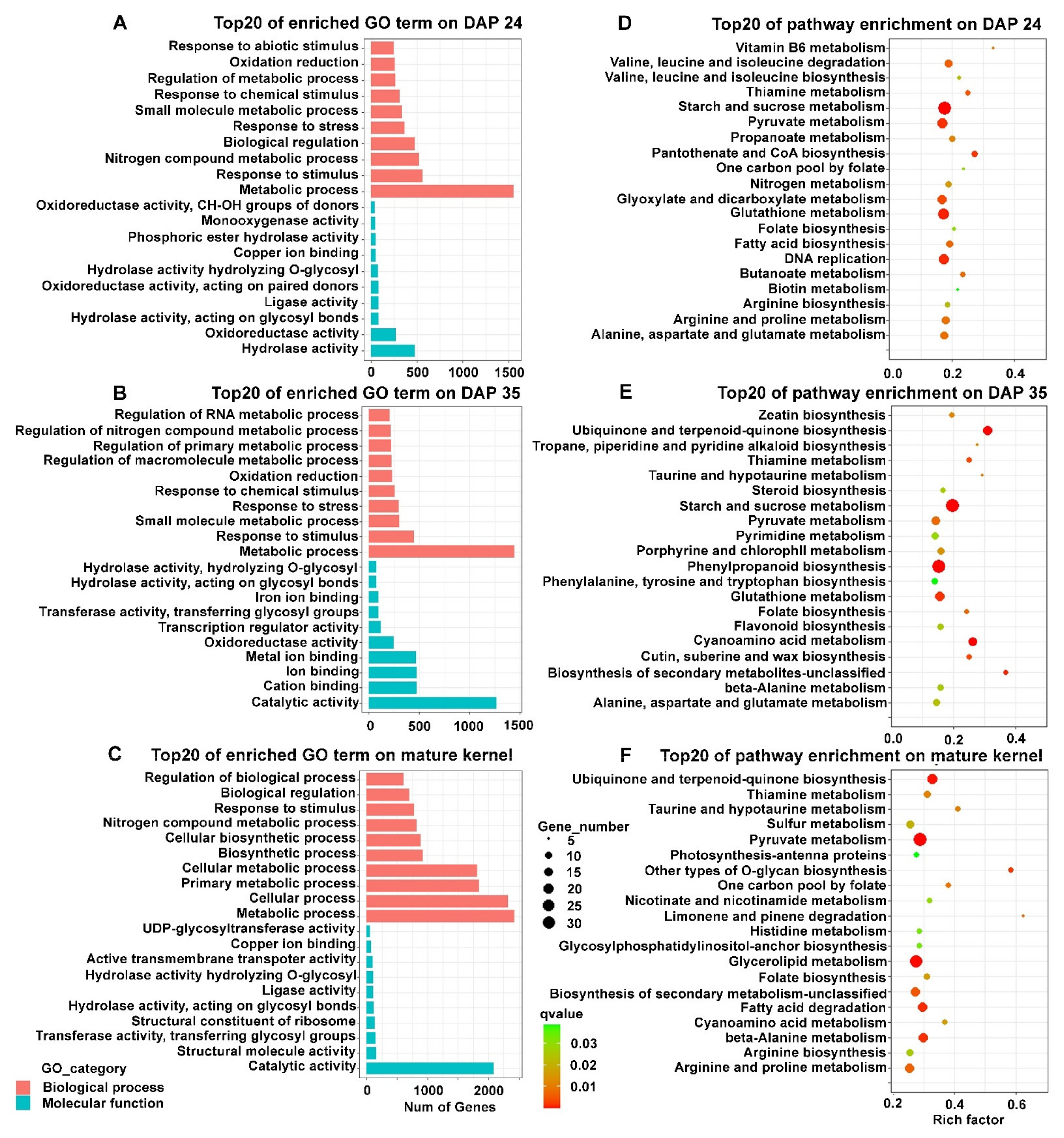 Ijms 23 01708 g007 Ijms 23 01708 g007