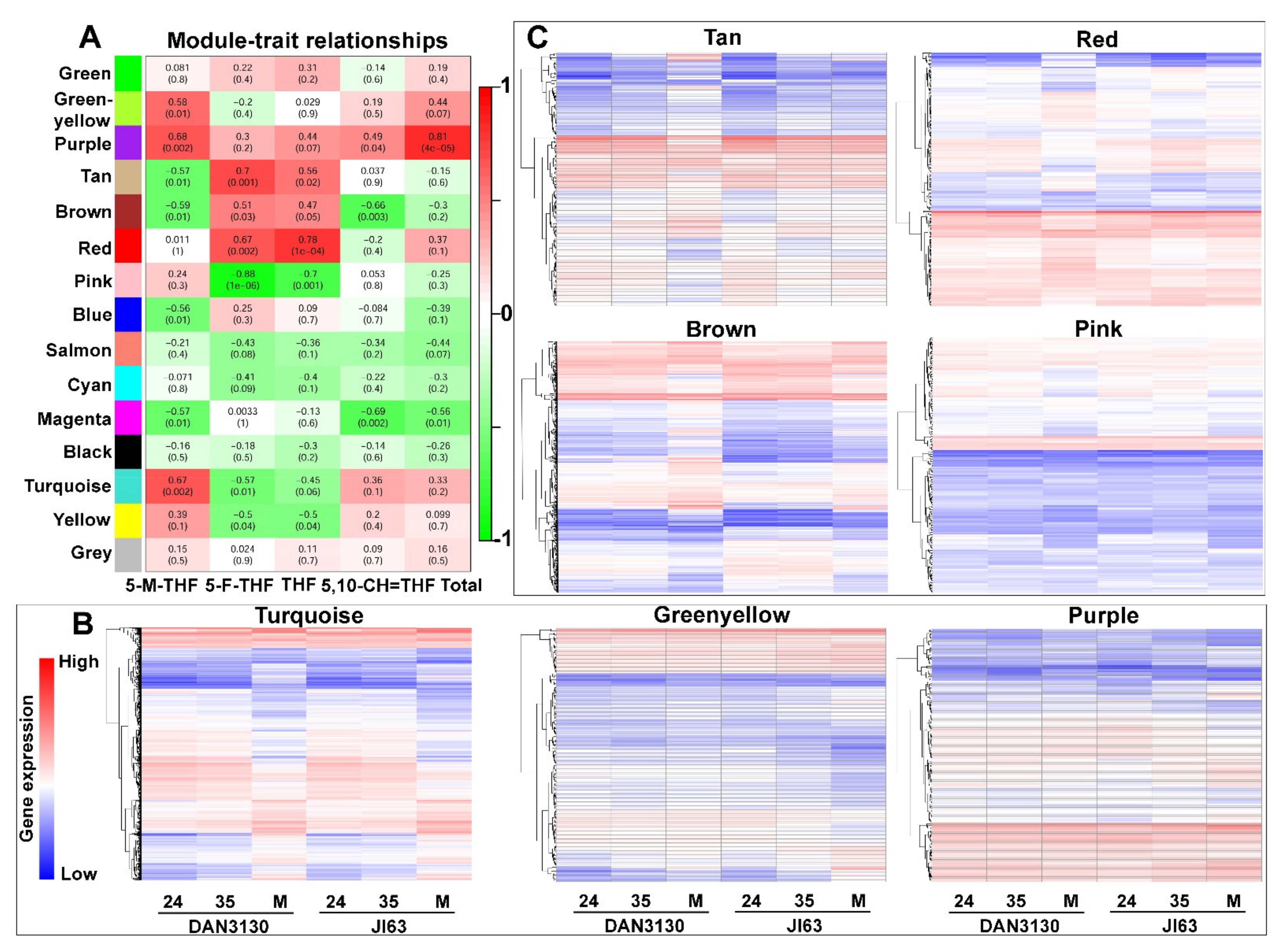 Ijms 23 01708 g008 Ijms 23 01708 g008