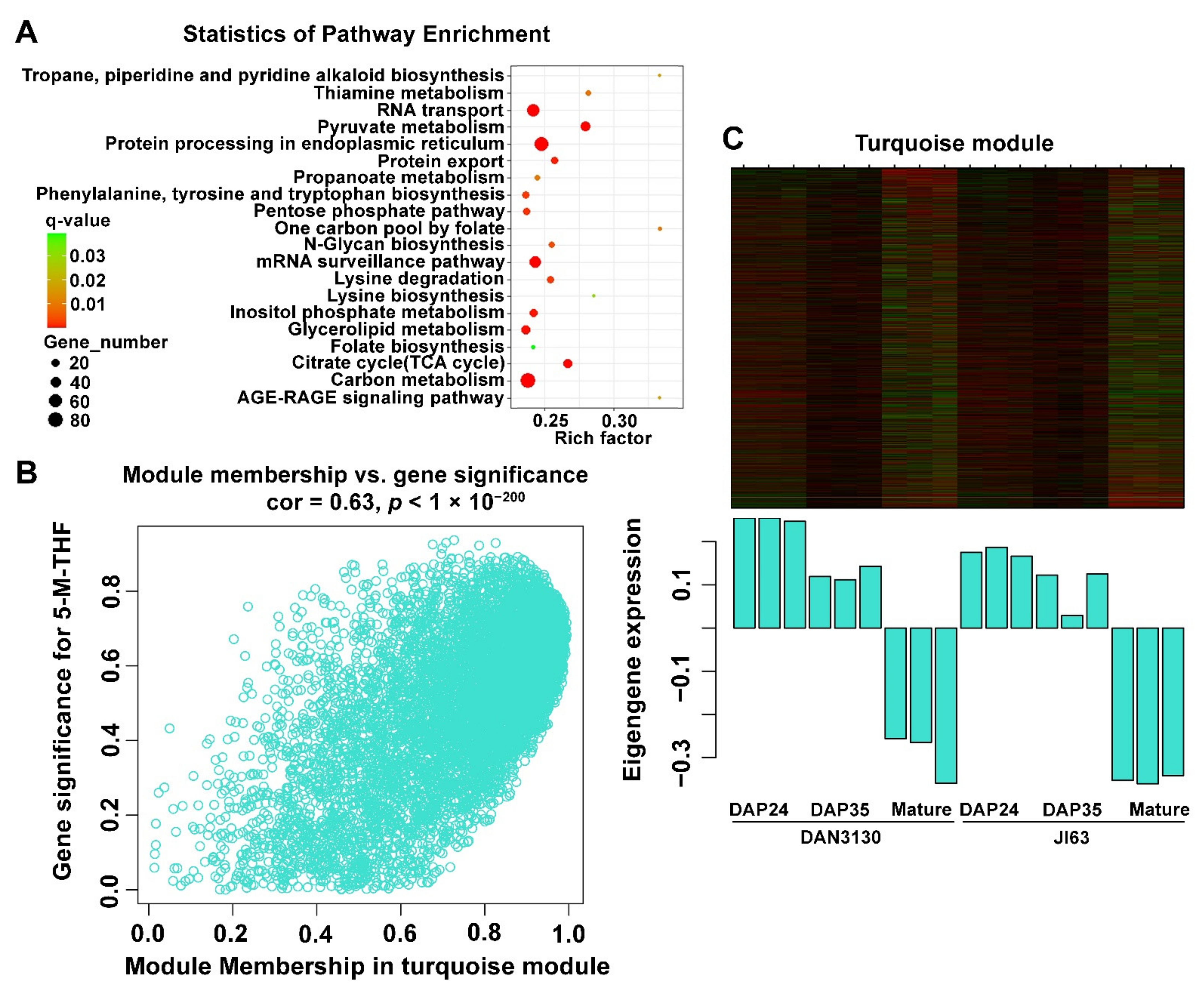 Ijms 23 01708 g009 Ijms 23 01708 g009