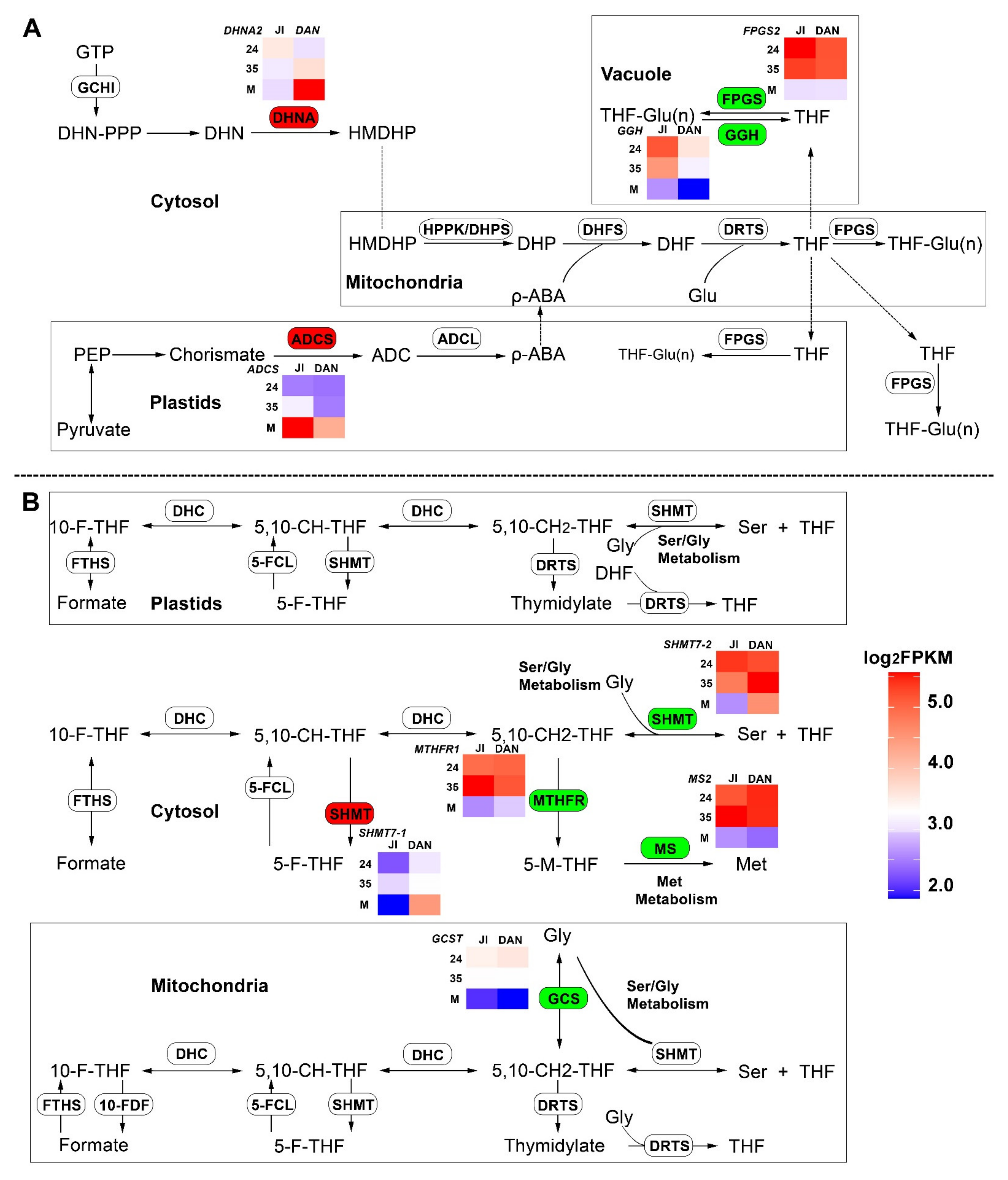 Ijms 23 01708 g010 Ijms 23 01708 g010