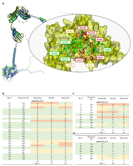 Ijms 23 01731 g007 550