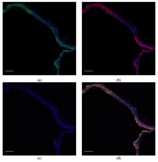 Ijms 23 01744 g0a1 550