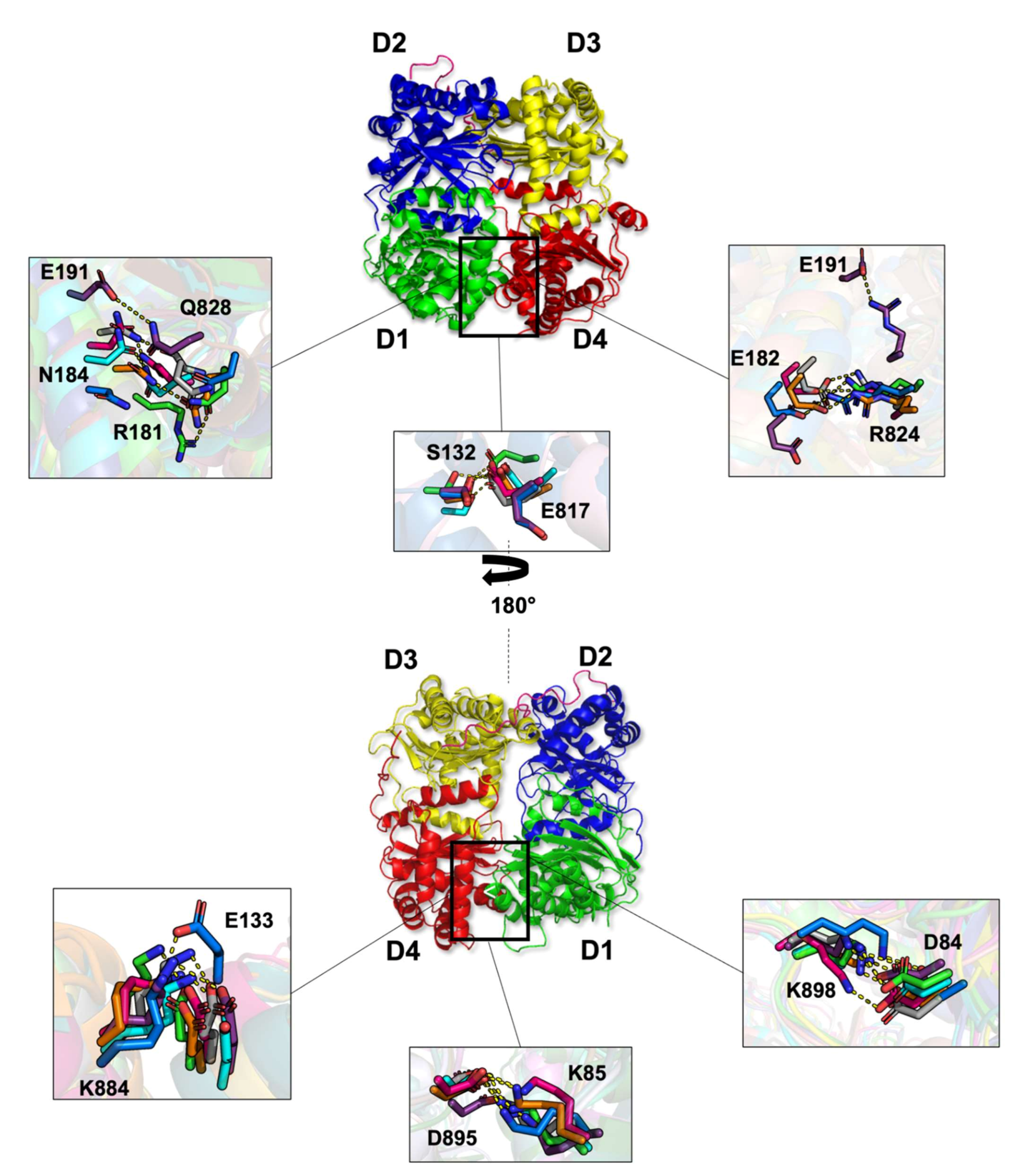Ijms 23 01746 g006 Ijms 23 01746 g006