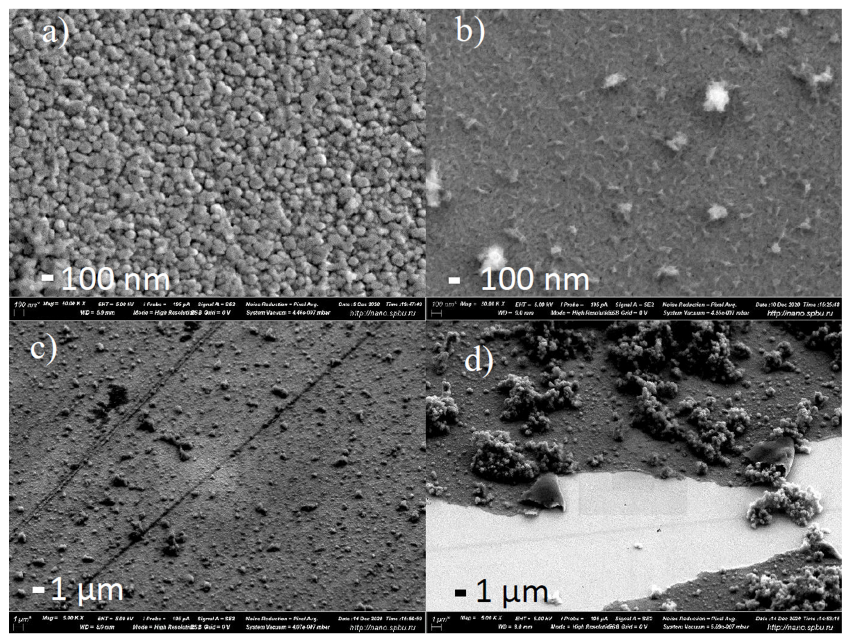 Ijms 23 01795 g007 Ijms 23 01795 g007