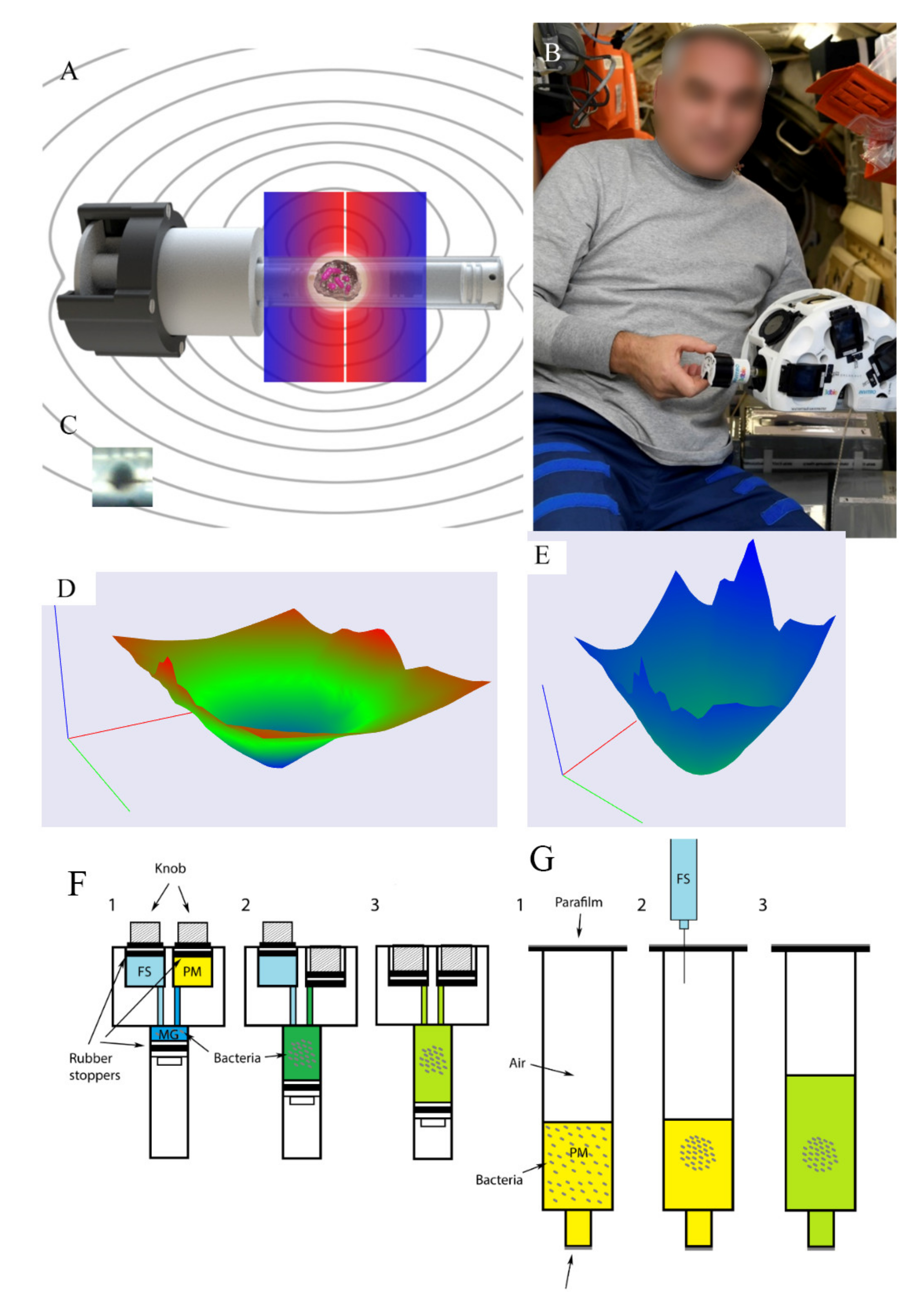 Ijms 23 01837 g001 Ijms 23 01837 g001