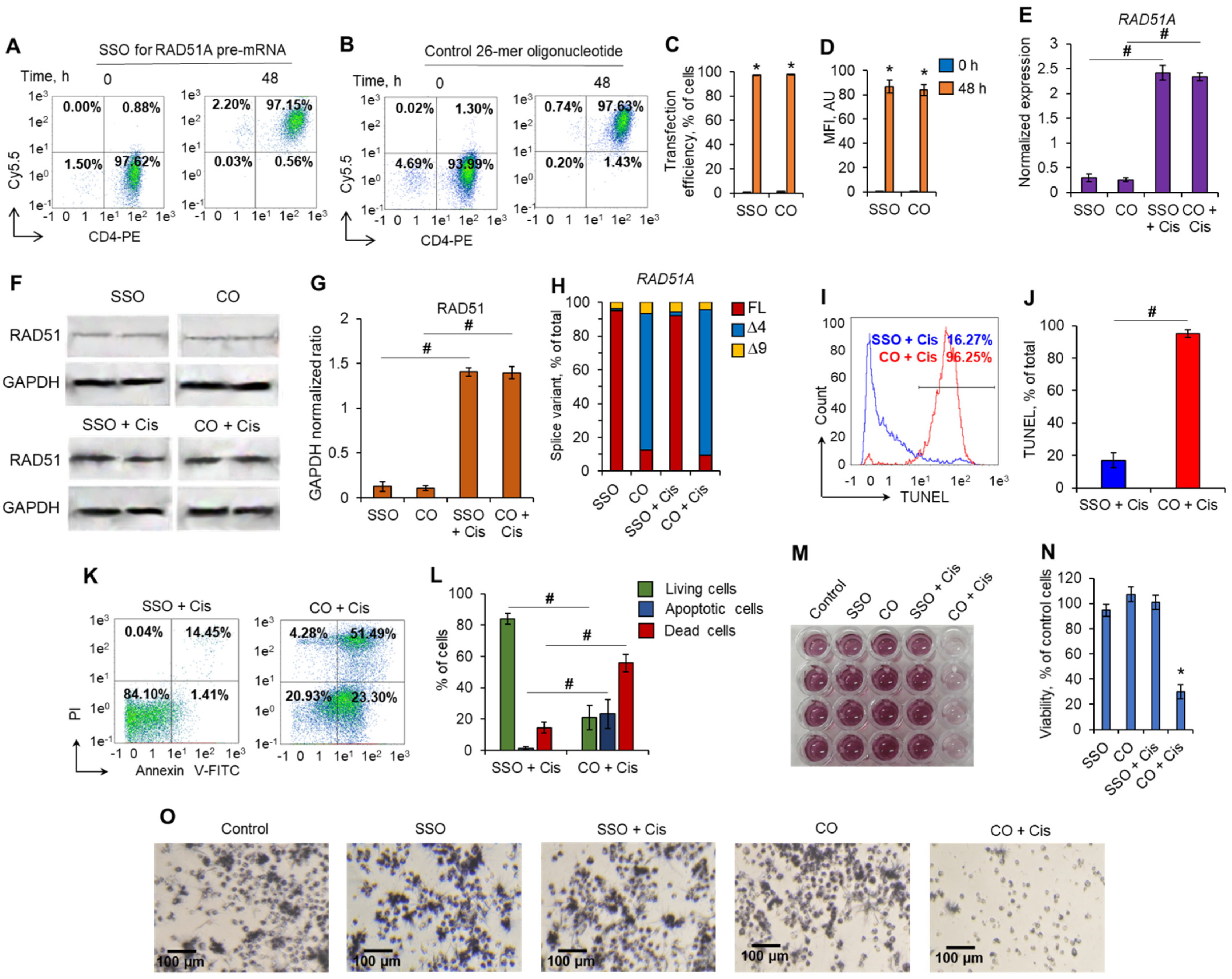 Ijms 23 01863 g007 Ijms 23 01863 g007
