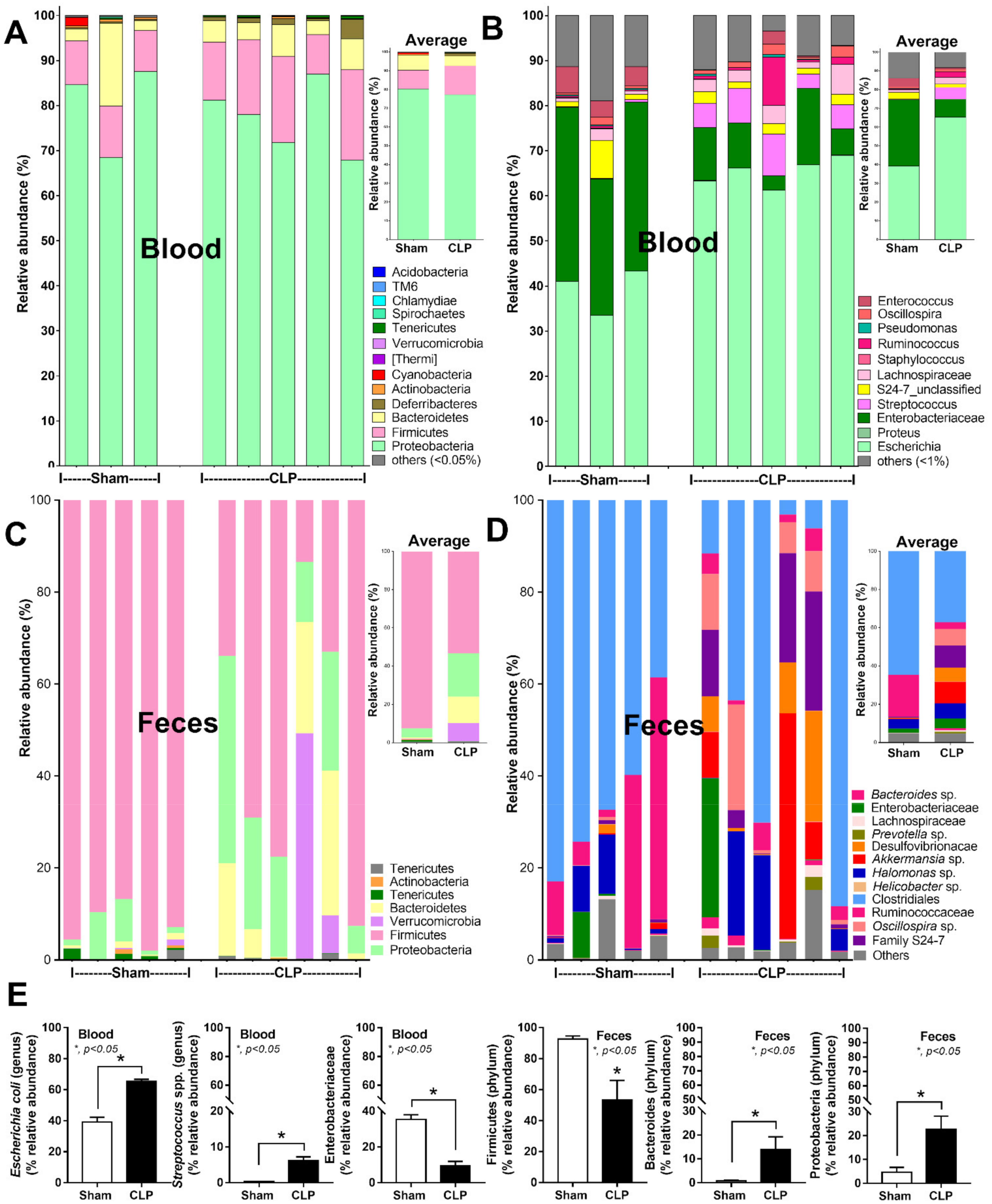 Ijms 23 01907 g002 Ijms 23 01907 g002