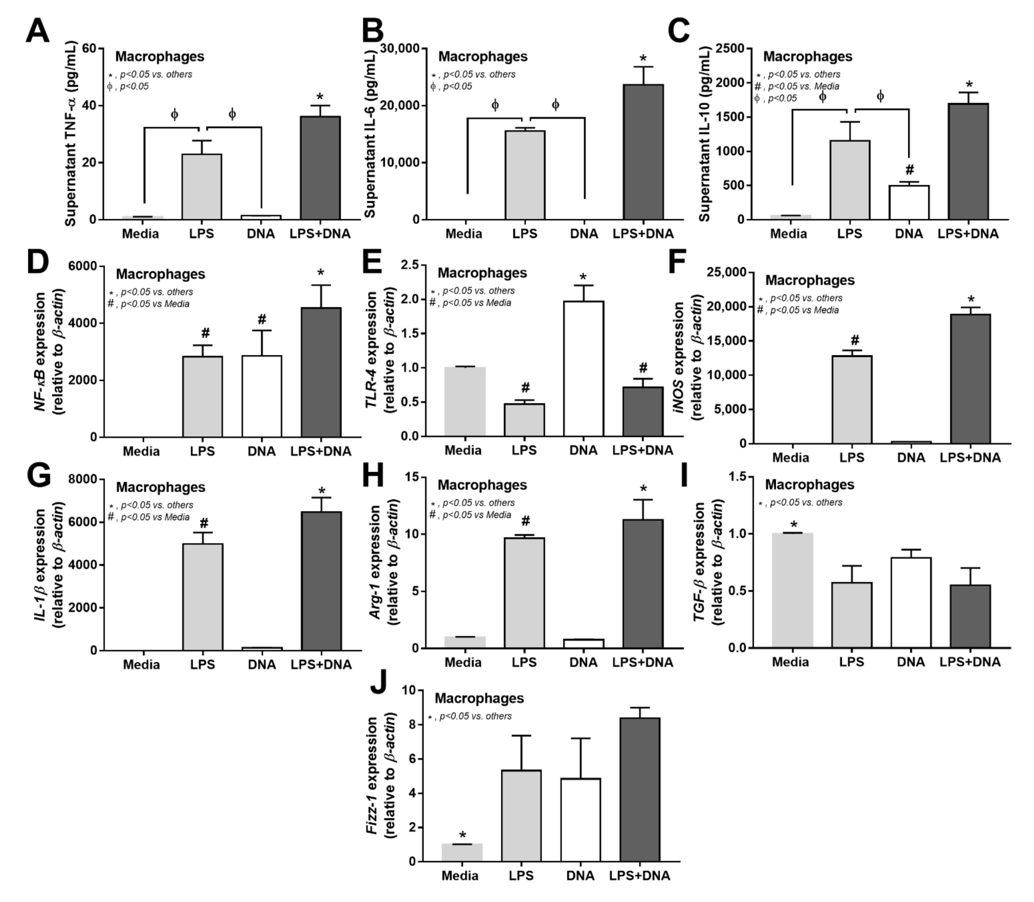 Ijms 23 01907 g005 Ijms 23 01907 g005