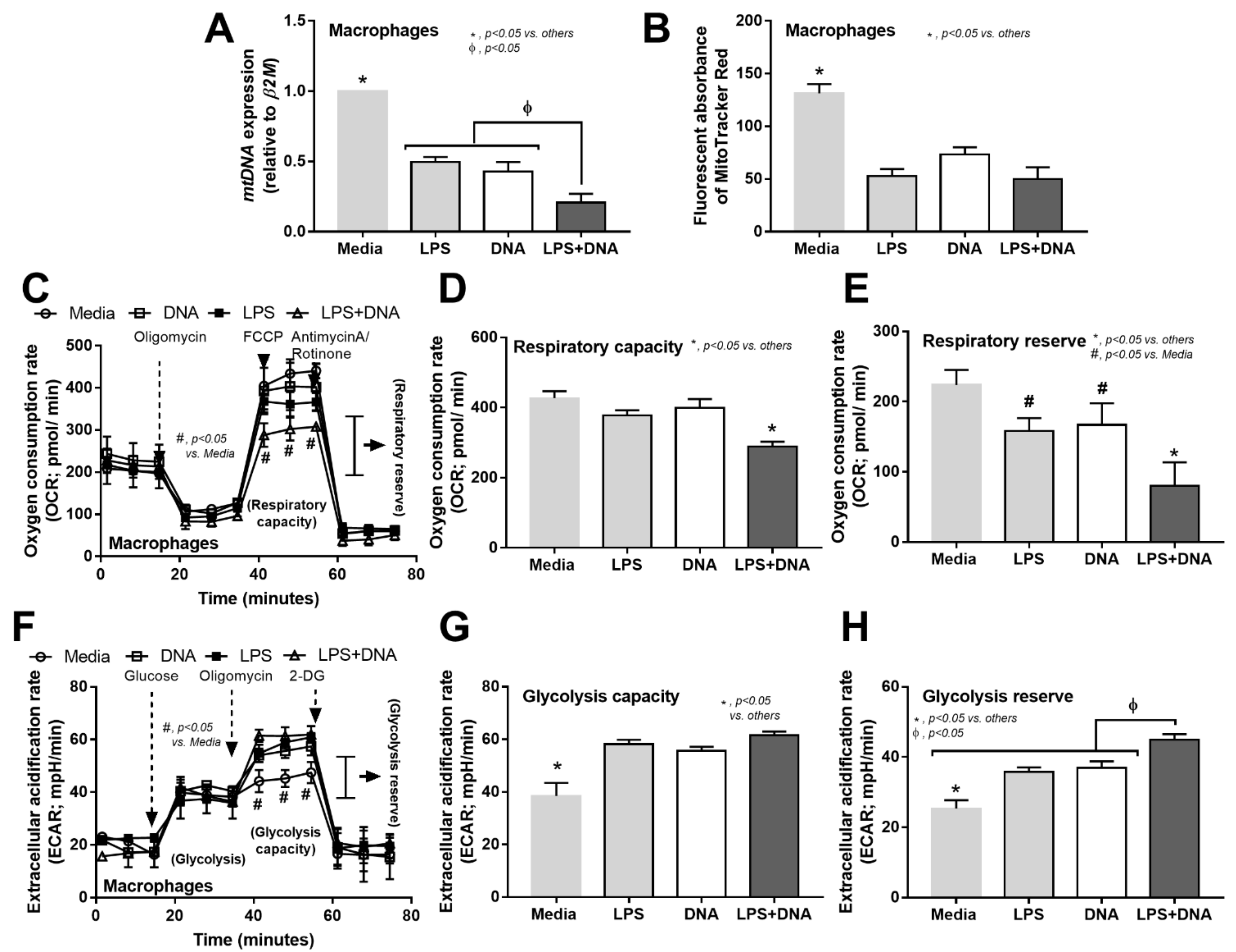 Ijms 23 01907 g006 Ijms 23 01907 g006