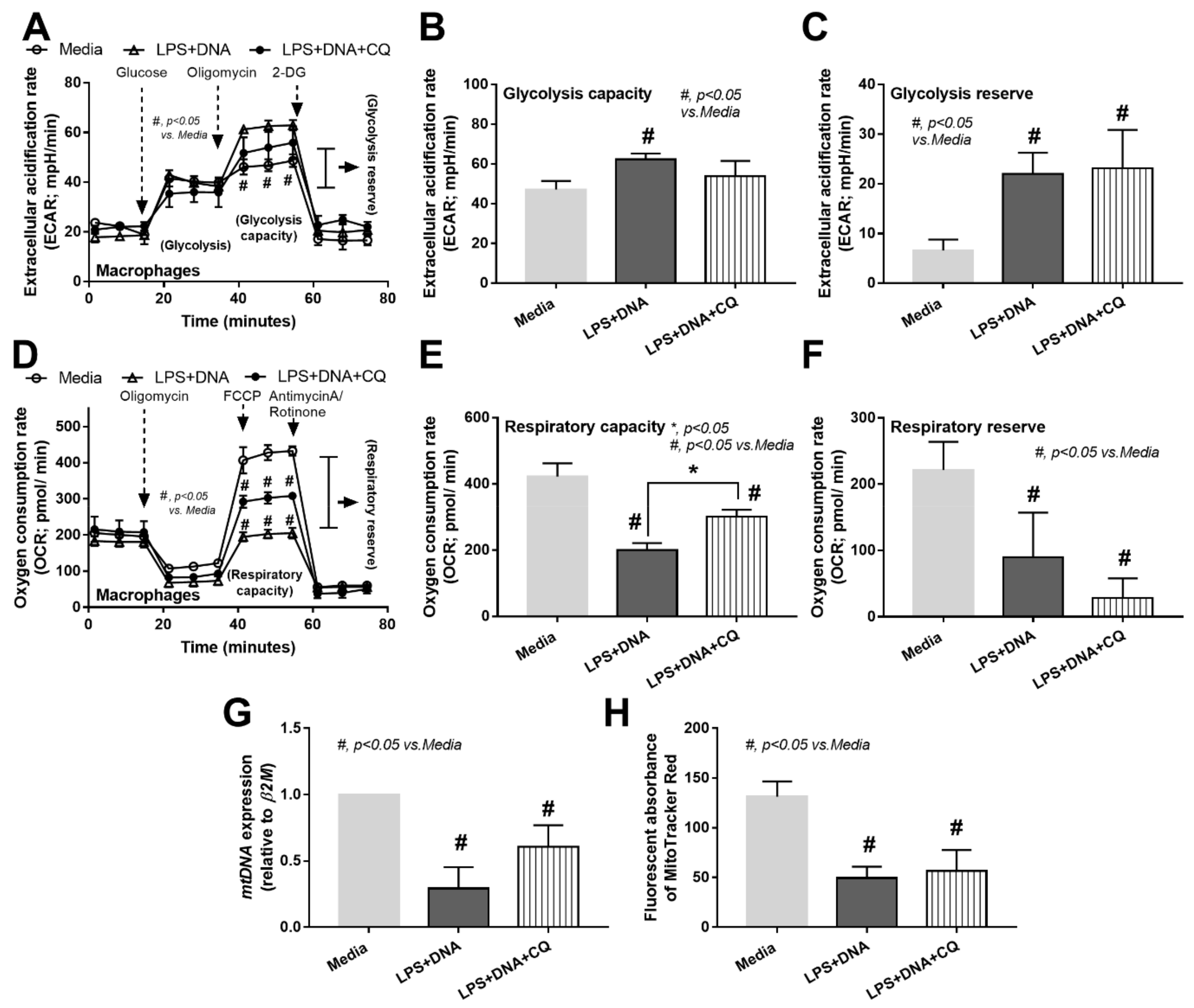 Ijms 23 01907 g008 Ijms 23 01907 g008