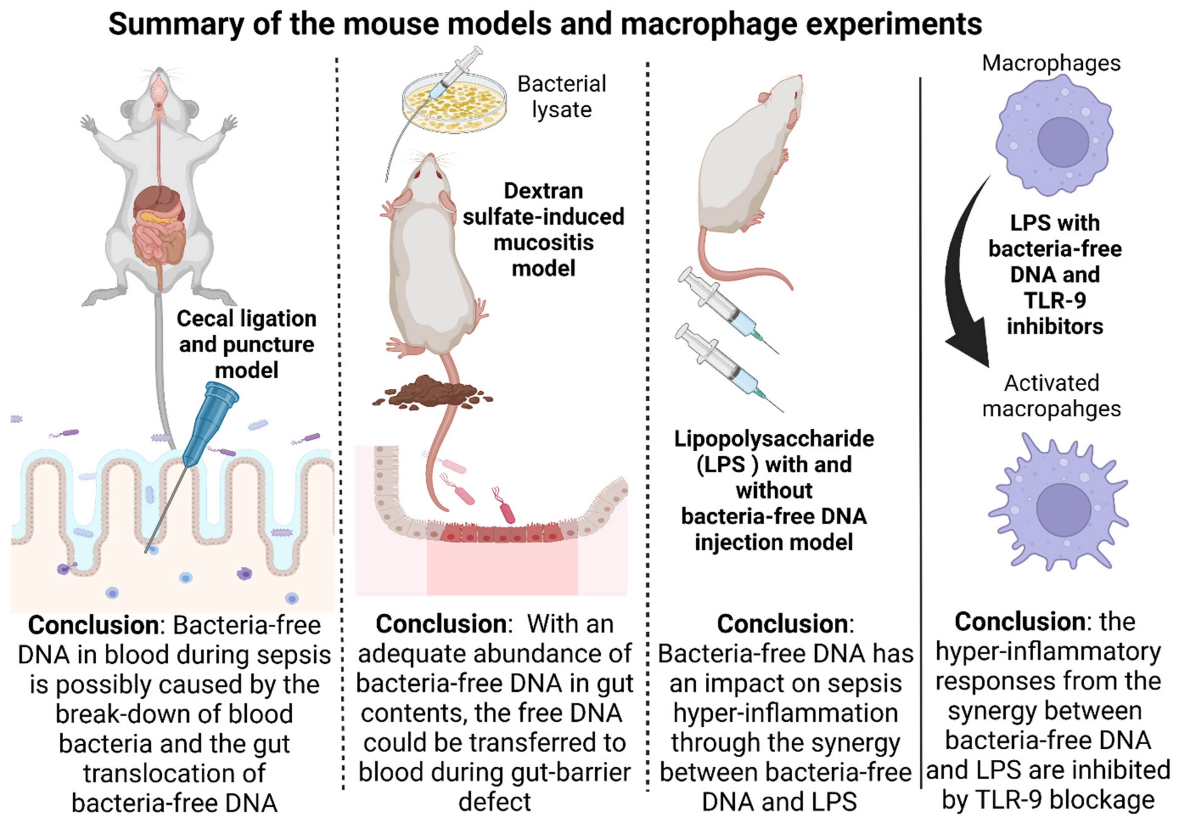 Ijms 23 01907 g009 Ijms 23 01907 g009
