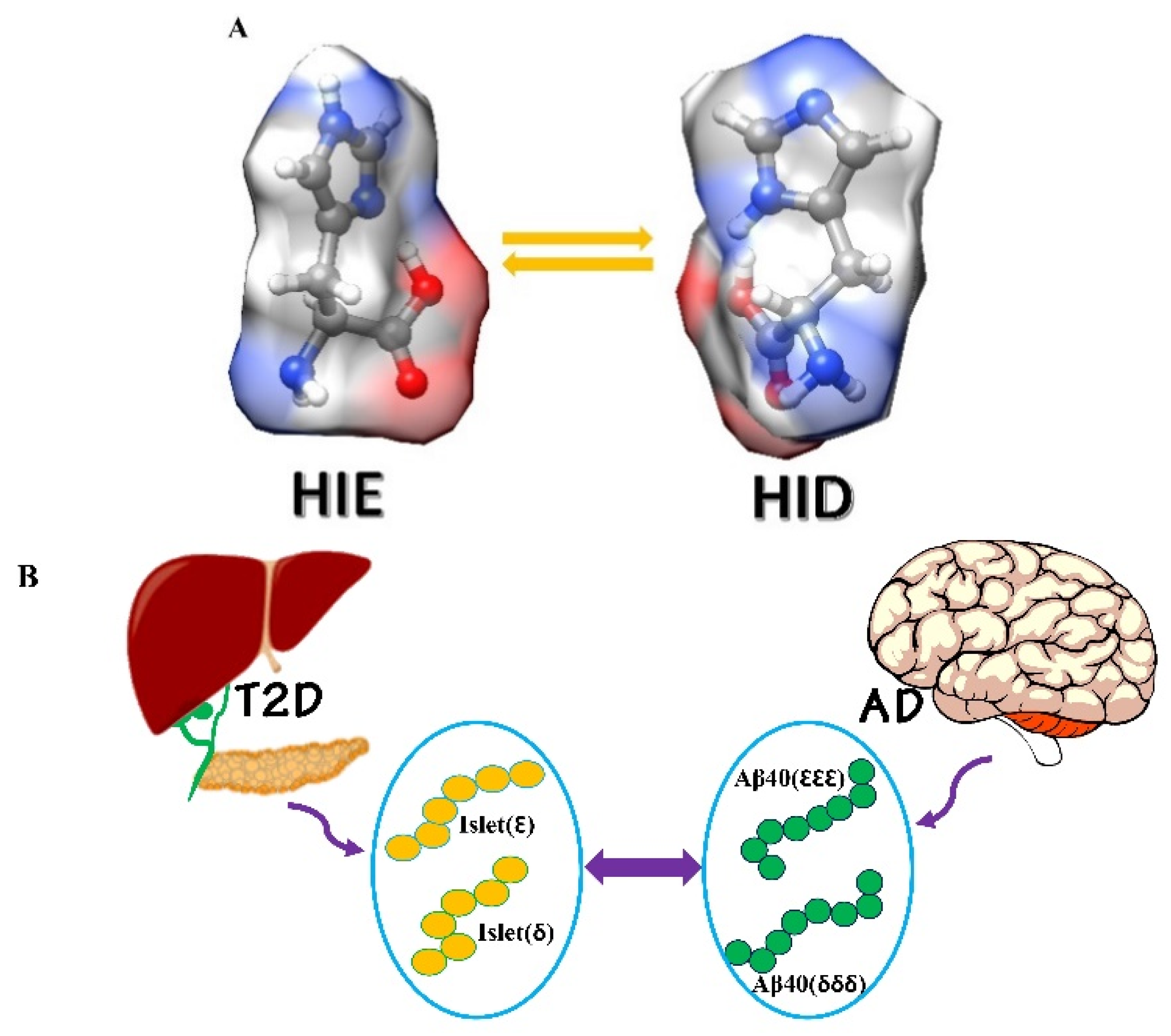 Ijms 23 01930 g002 Ijms 23 01930 g002