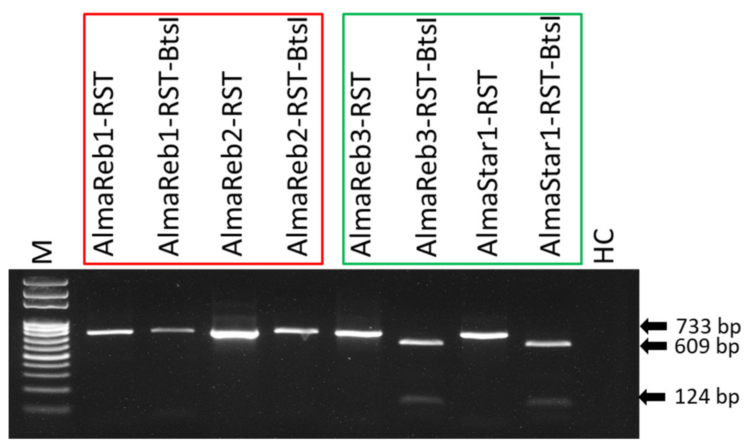 Ijms 23 01937 g002 Ijms 23 01937 g002
