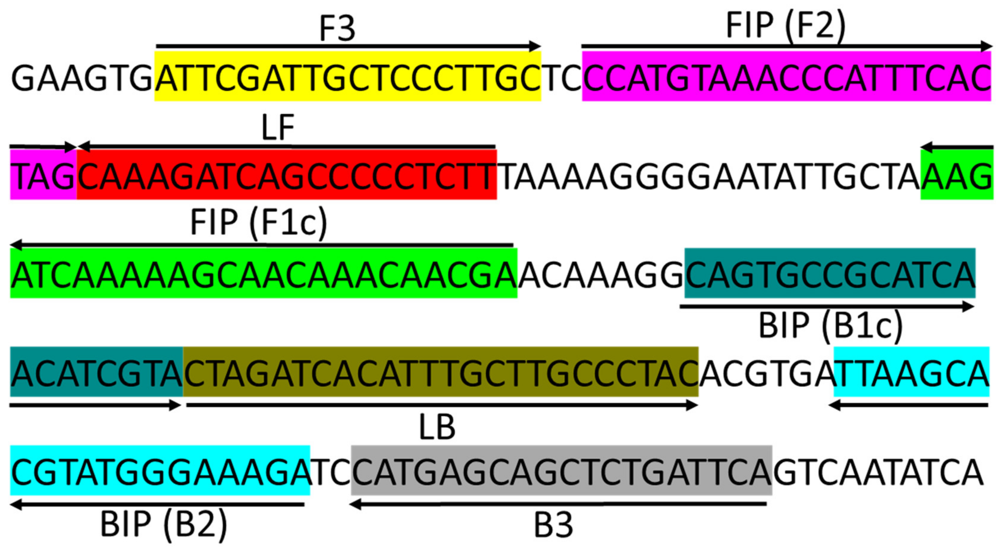 Ijms 23 01937 g004 Ijms 23 01937 g004