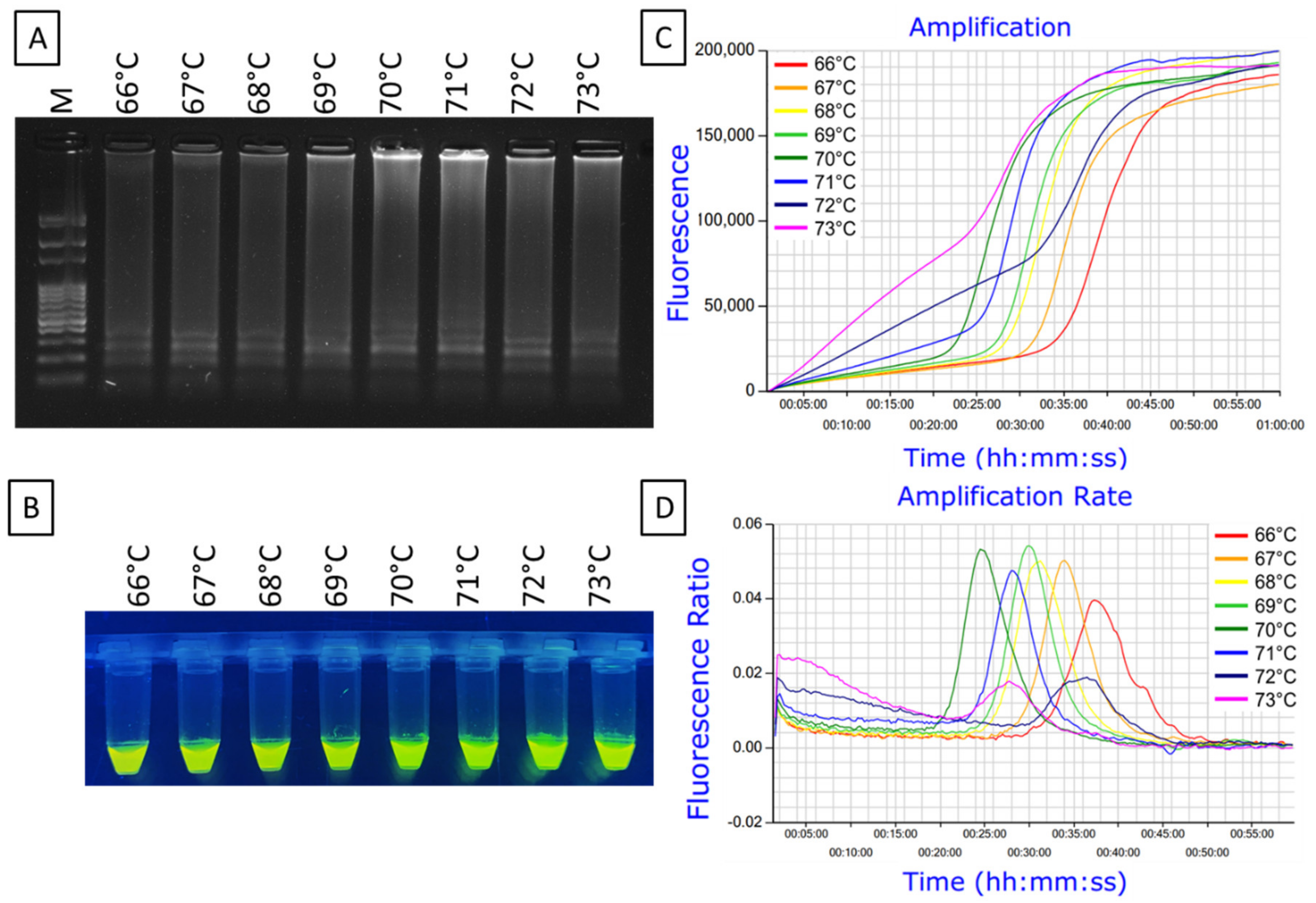 Ijms 23 01937 g005 Ijms 23 01937 g005