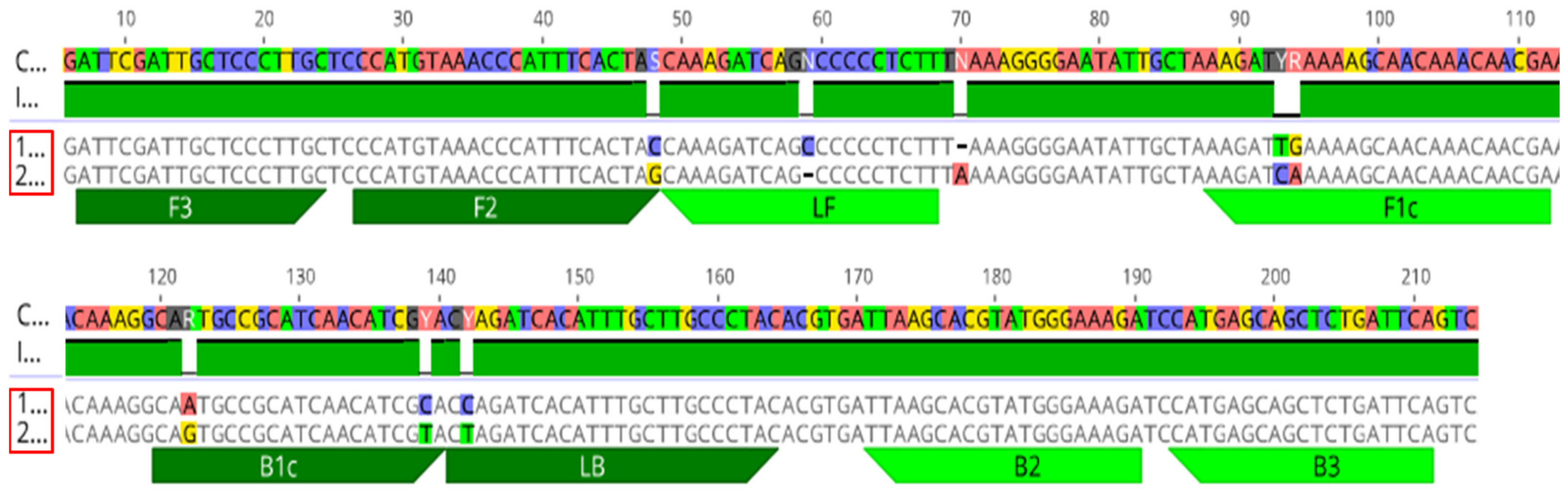 Ijms 23 01937 g009 Ijms 23 01937 g009
