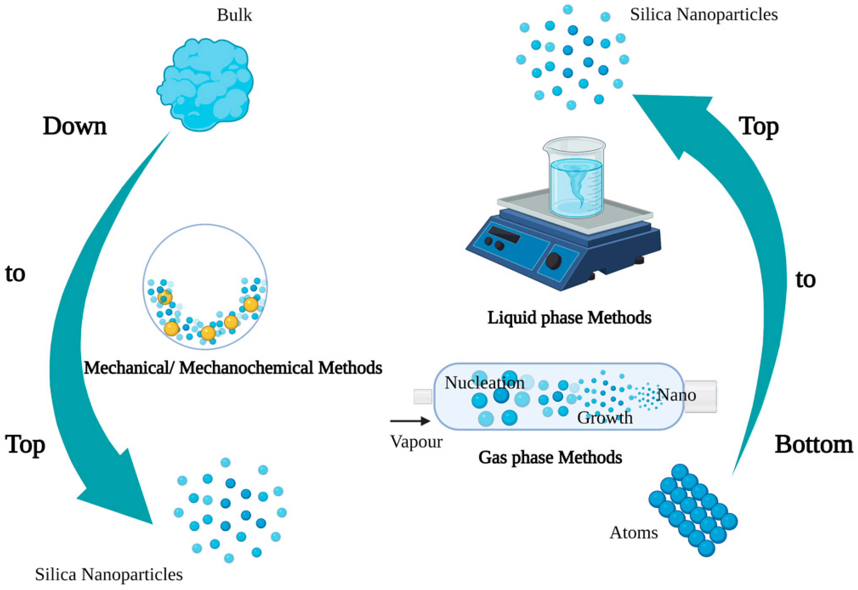 Ijms 23 01947 g001 Ijms 23 01947 g001