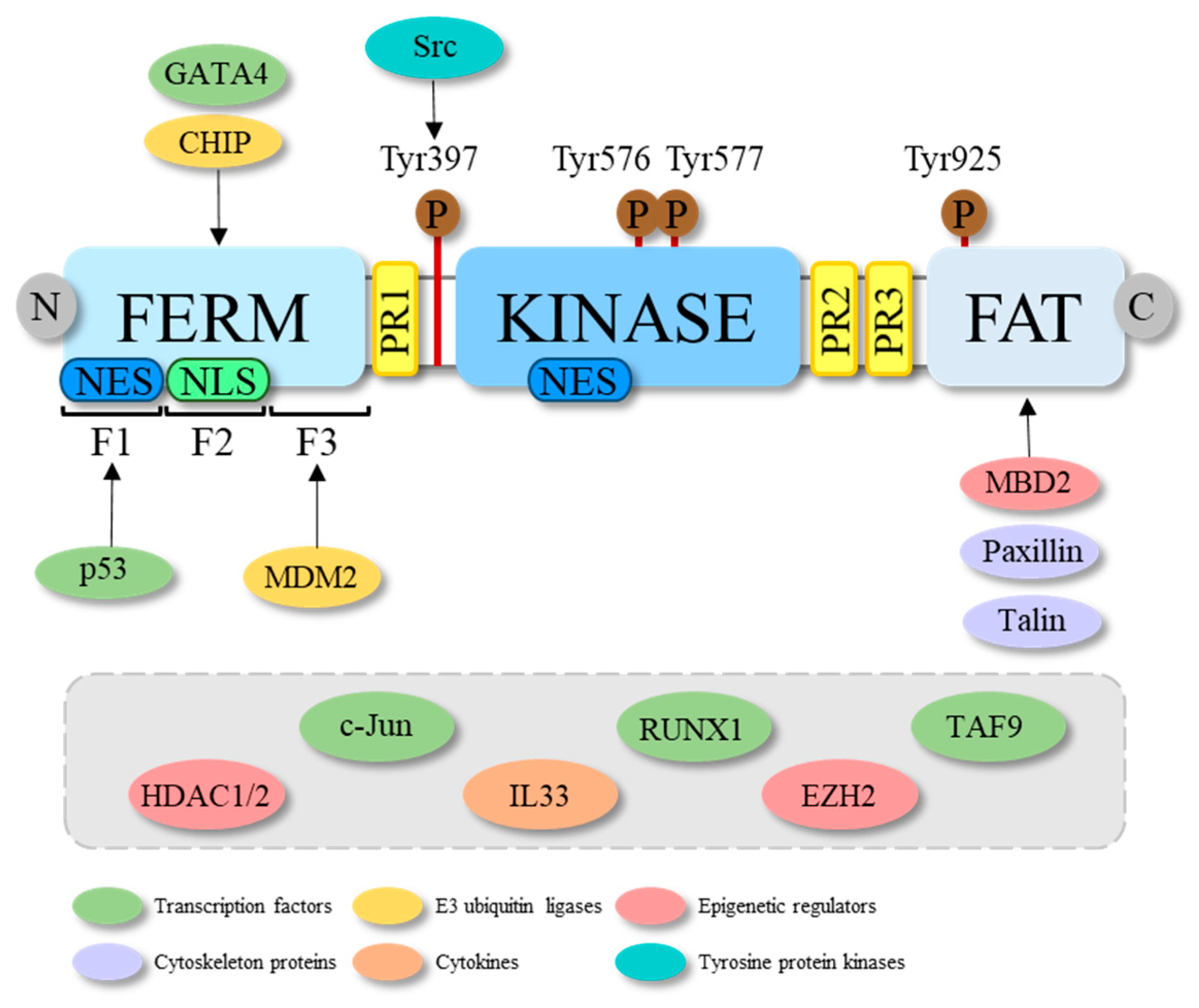 Ijms 23 01998 g001 Ijms 23 01998 g001