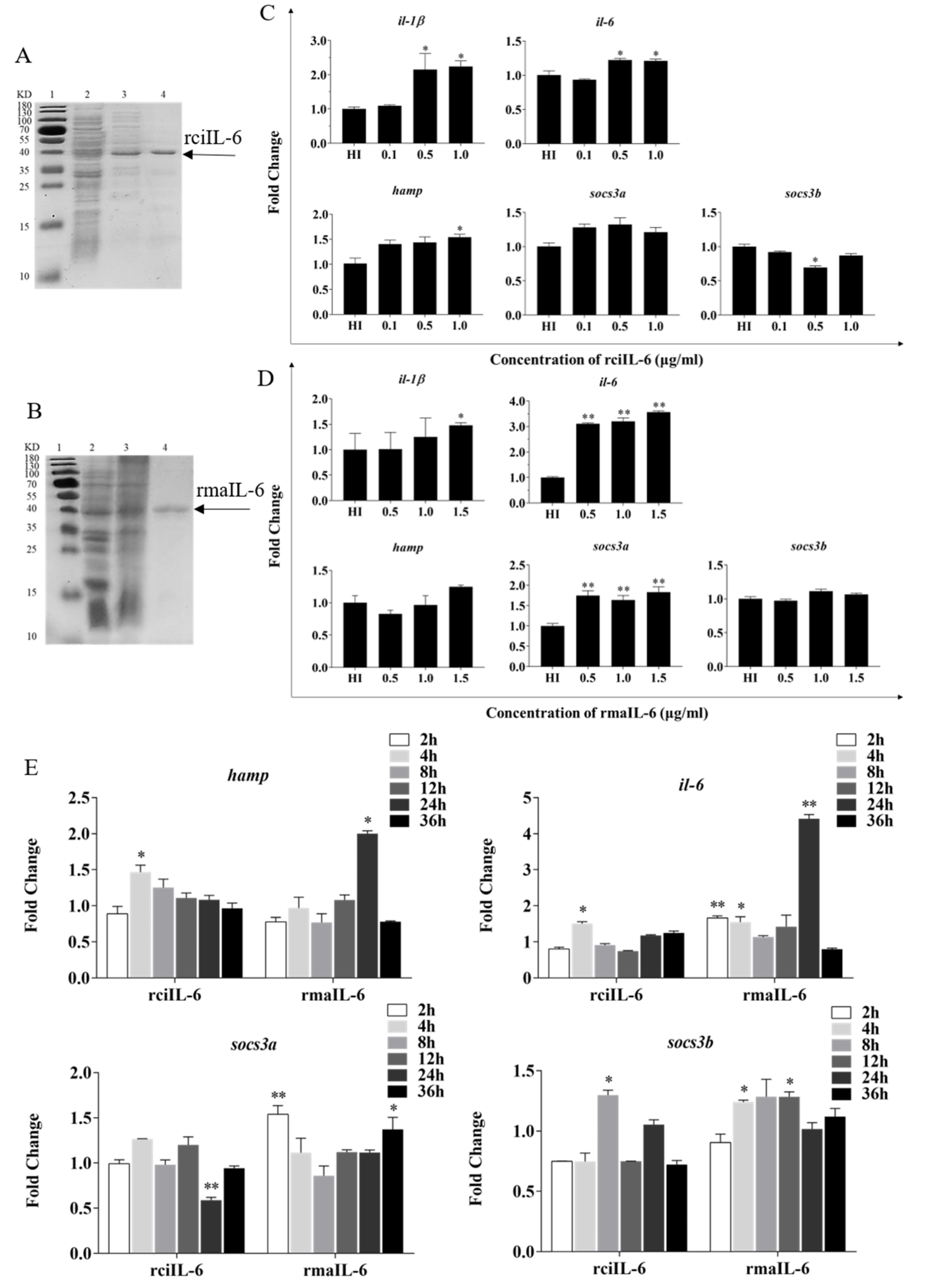 Ijms 23 02019 g002 Ijms 23 02019 g002