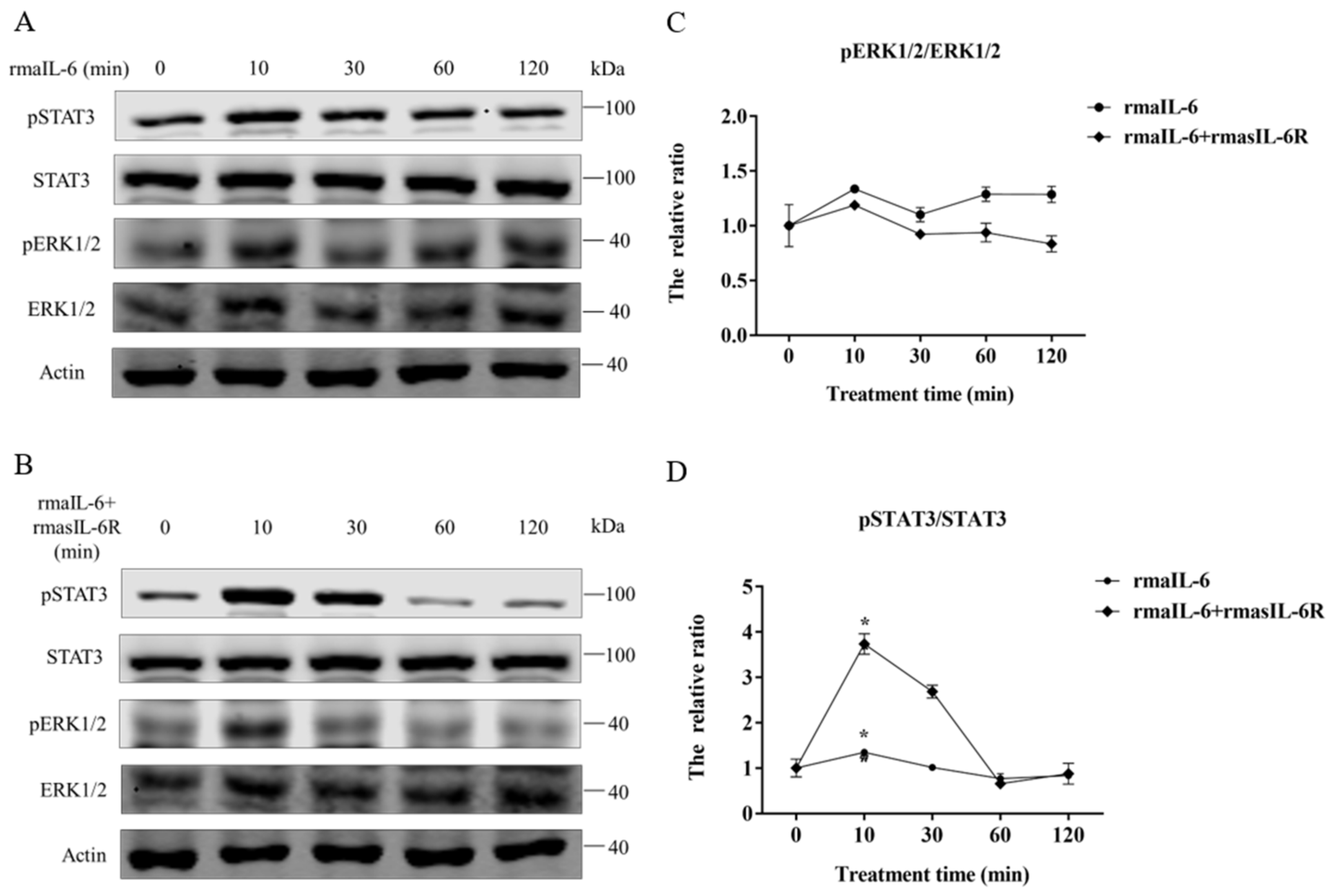 Ijms 23 02019 g004 Ijms 23 02019 g004
