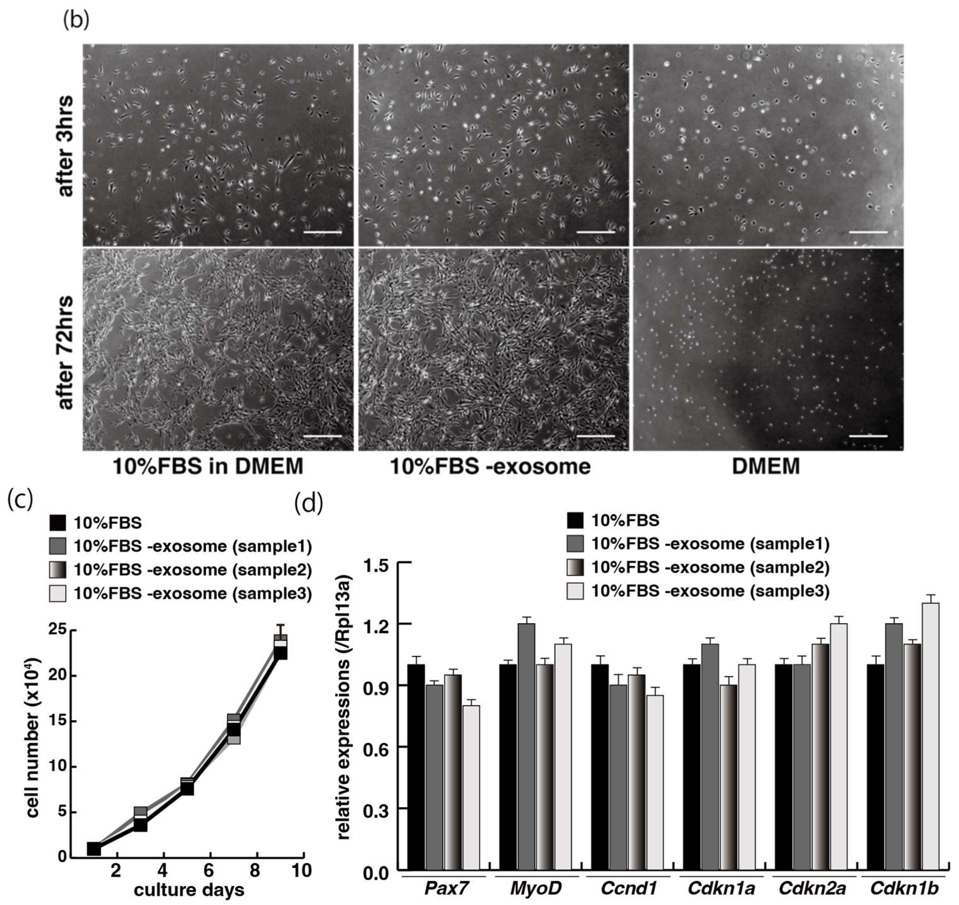 Ijms 23 02036 g001b Ijms 23 02036 g001b