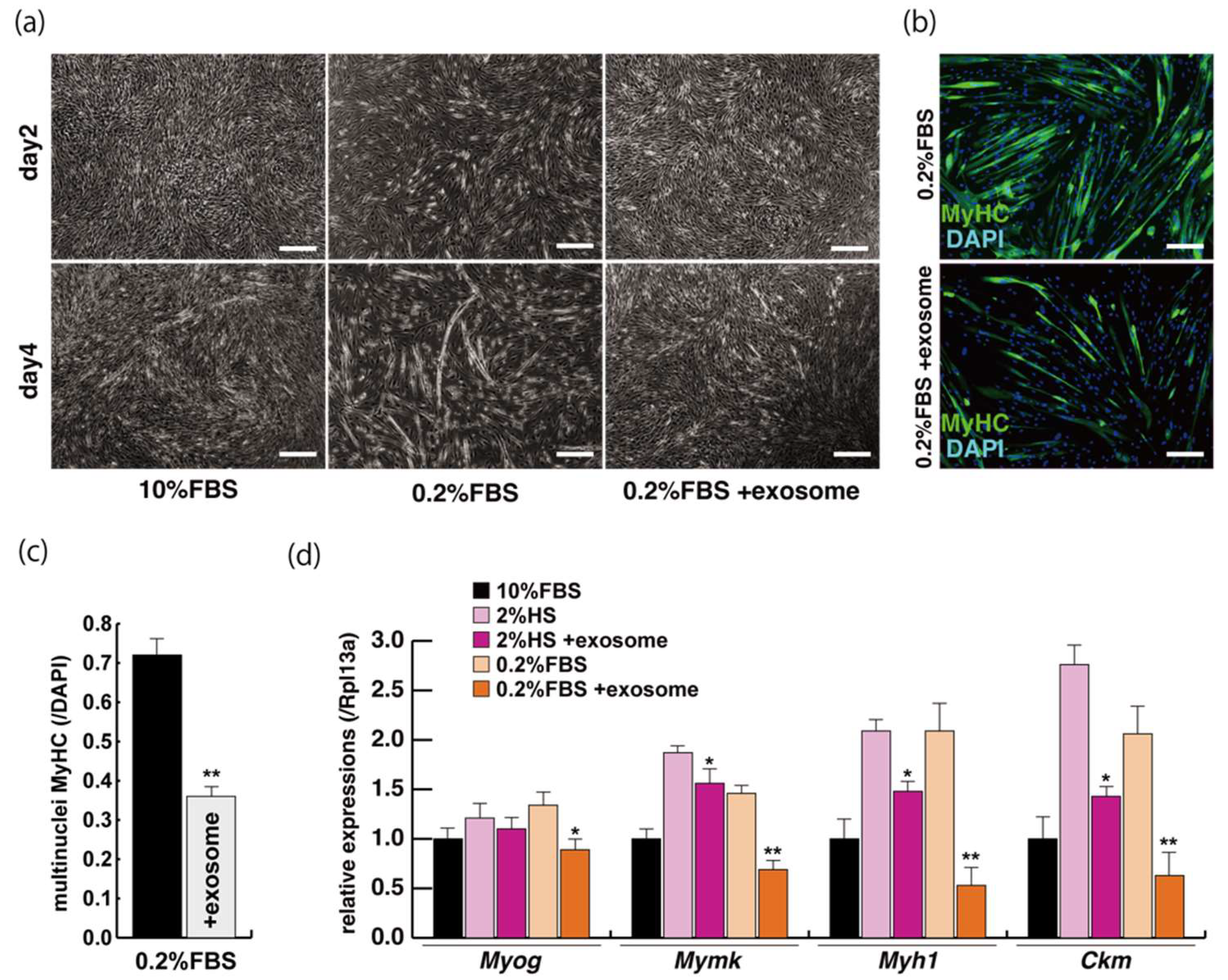 Ijms 23 02036 g002 Ijms 23 02036 g002