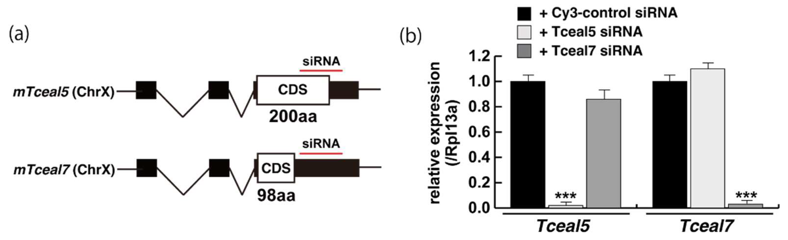 Ijms 23 02036 g004a Ijms 23 02036 g004a