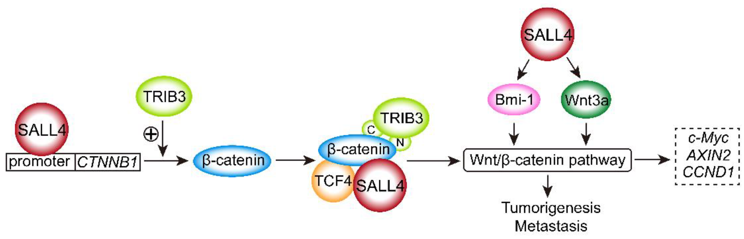Ijms 23 02053 g001 Ijms 23 02053 g001