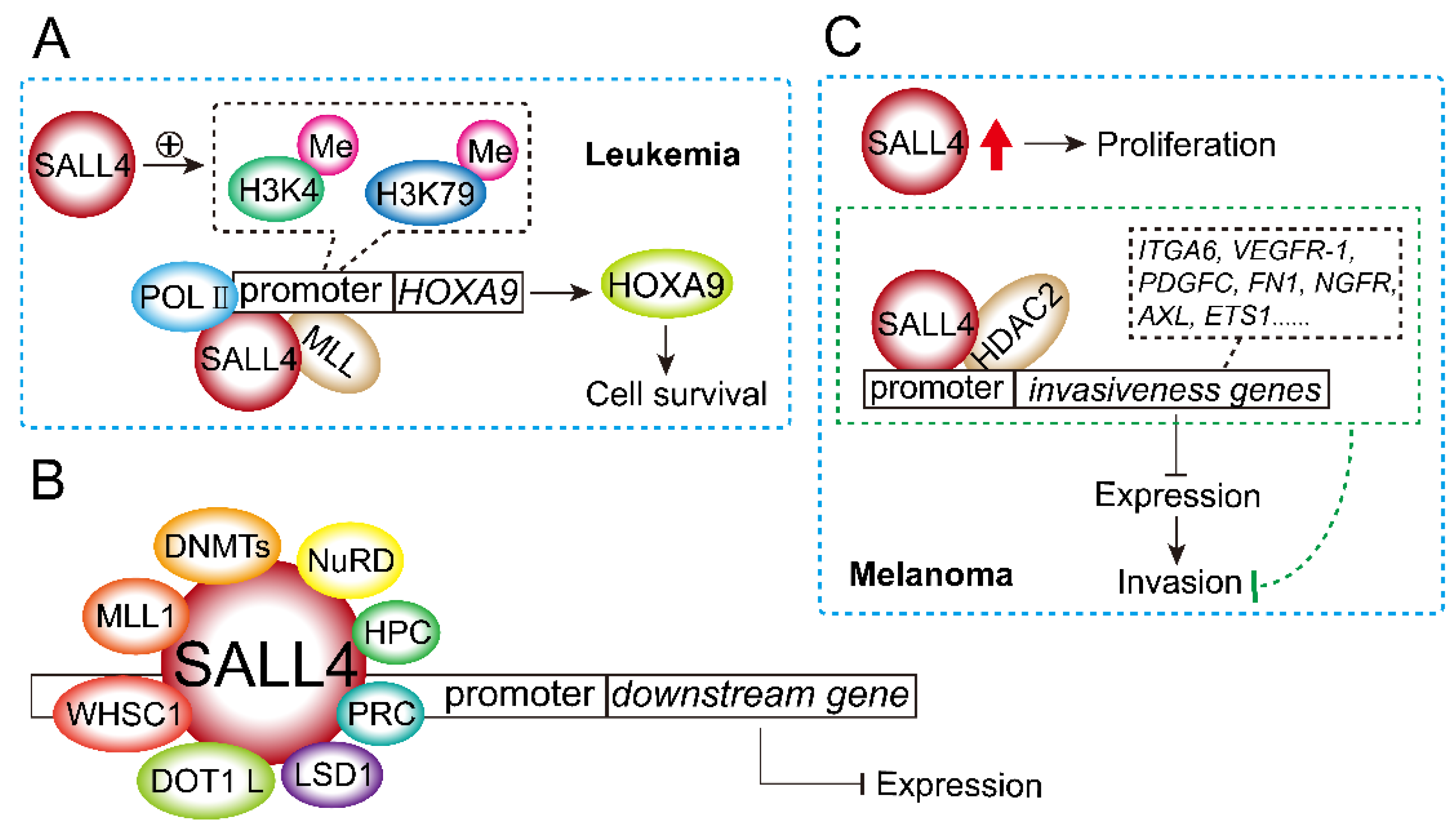 Ijms 23 02053 g006 Ijms 23 02053 g006