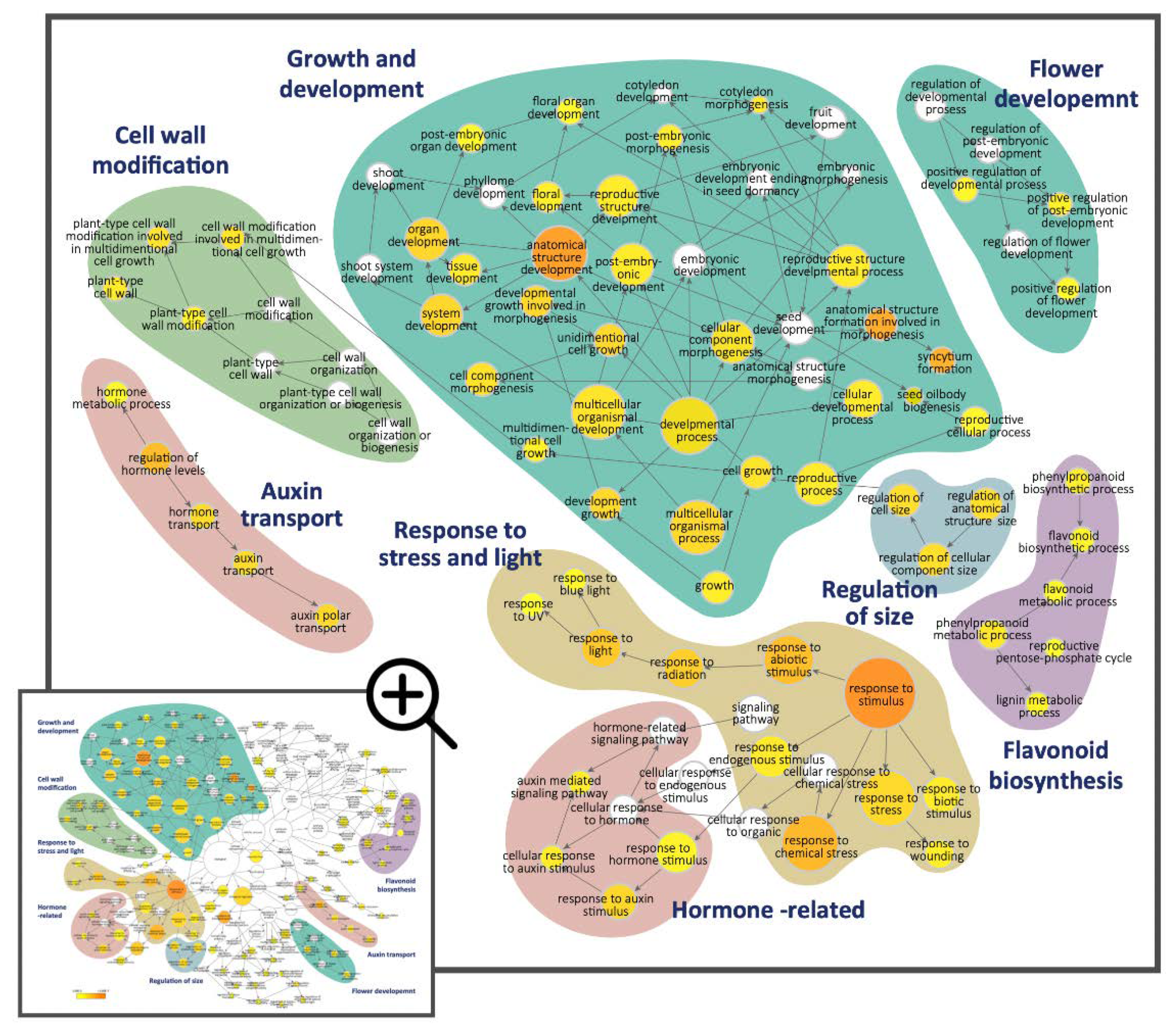 Ijms 23 02073 g003 Ijms 23 02073 g003