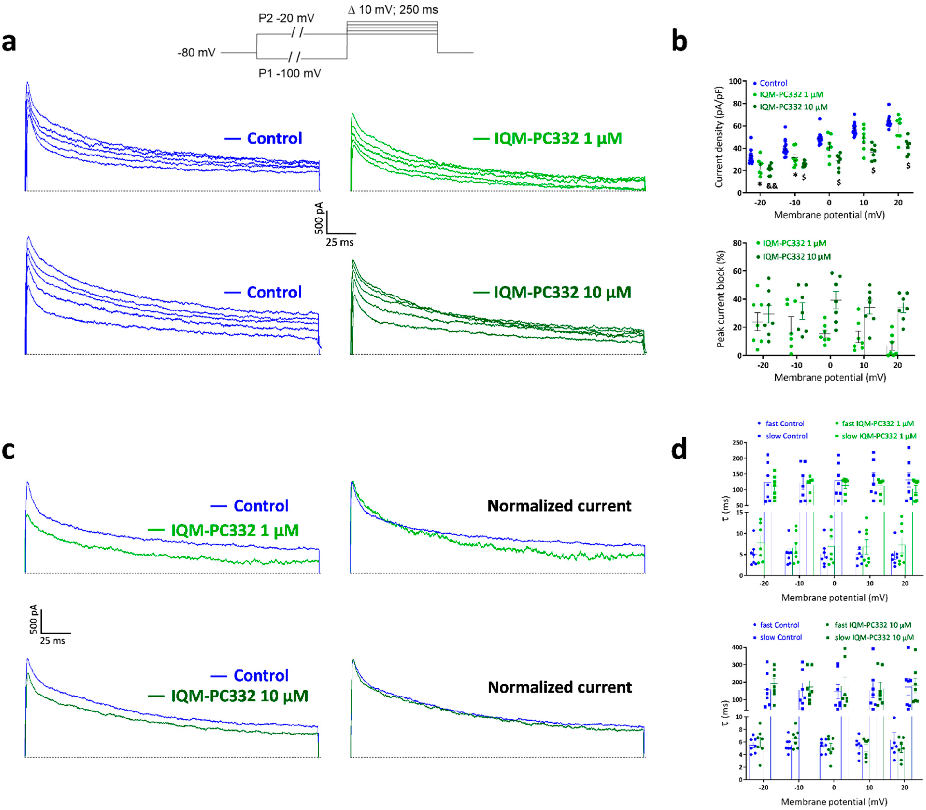Ijms 23 02142 g002 Ijms 23 02142 g002