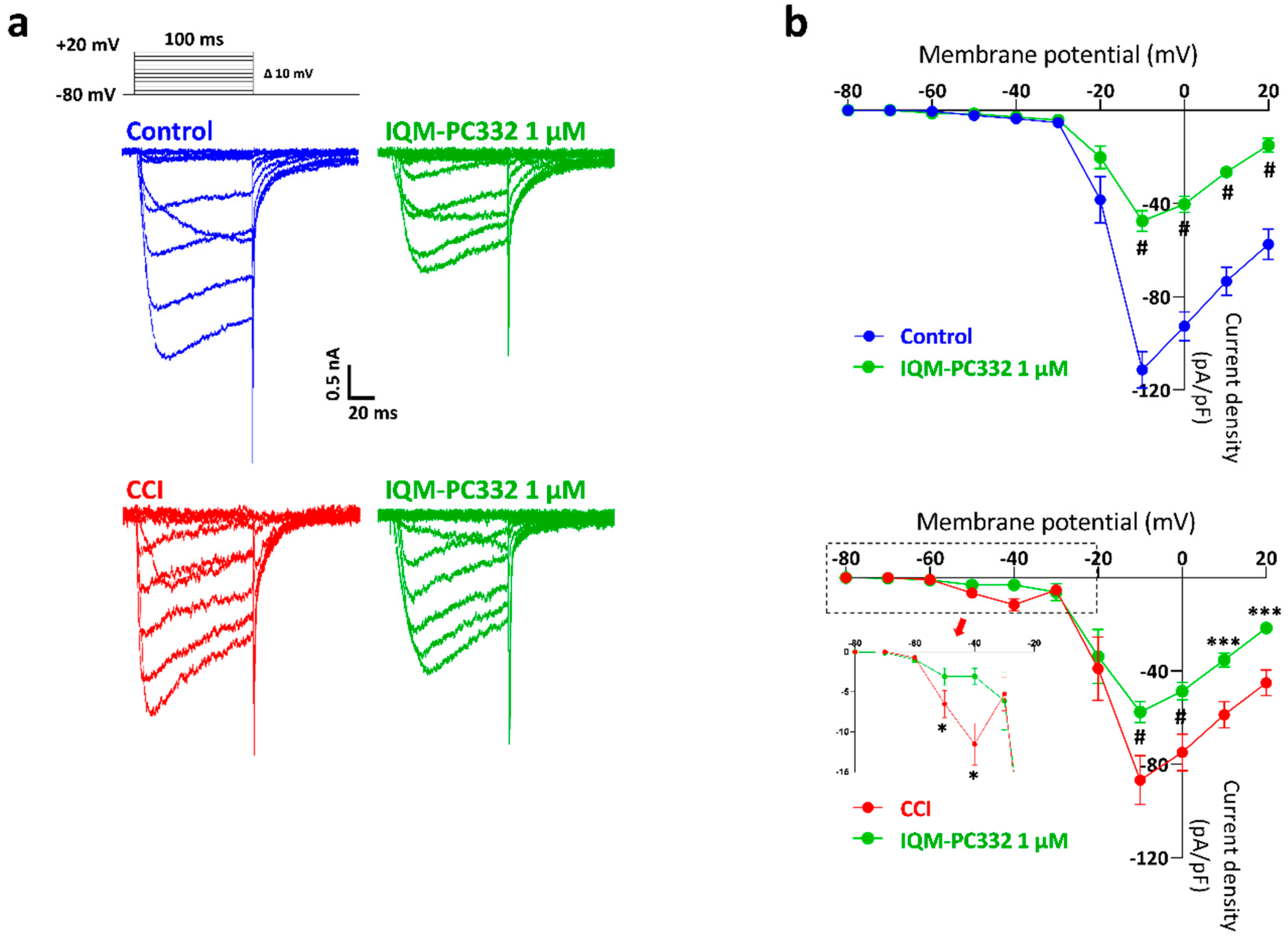 Ijms 23 02142 g003 Ijms 23 02142 g003