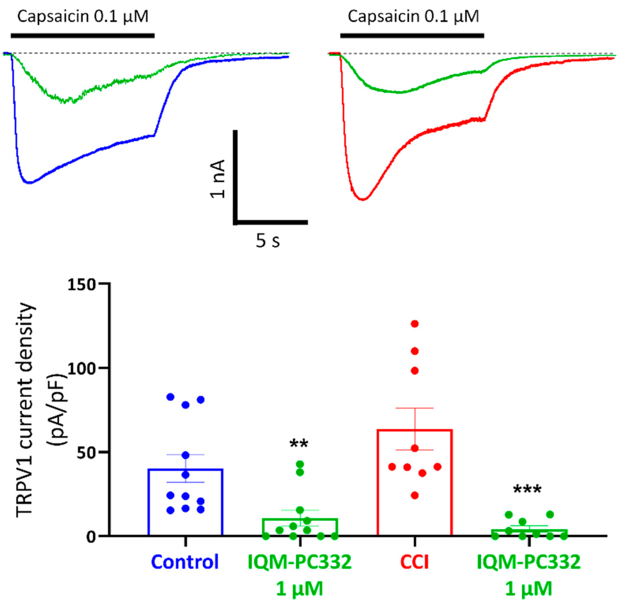 Ijms 23 02142 g005 Ijms 23 02142 g005
