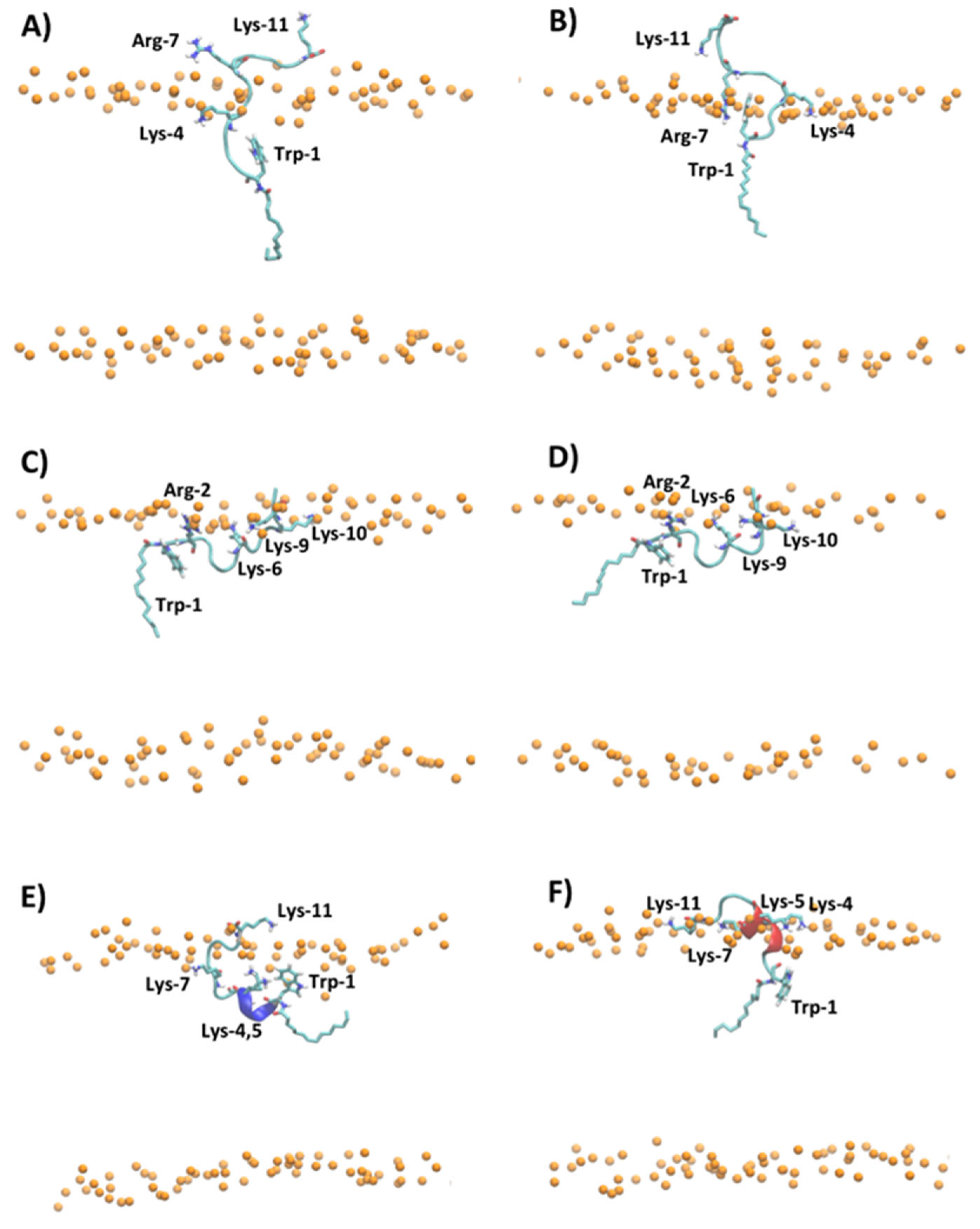 Ijms 23 02164 g005 Ijms 23 02164 g005
