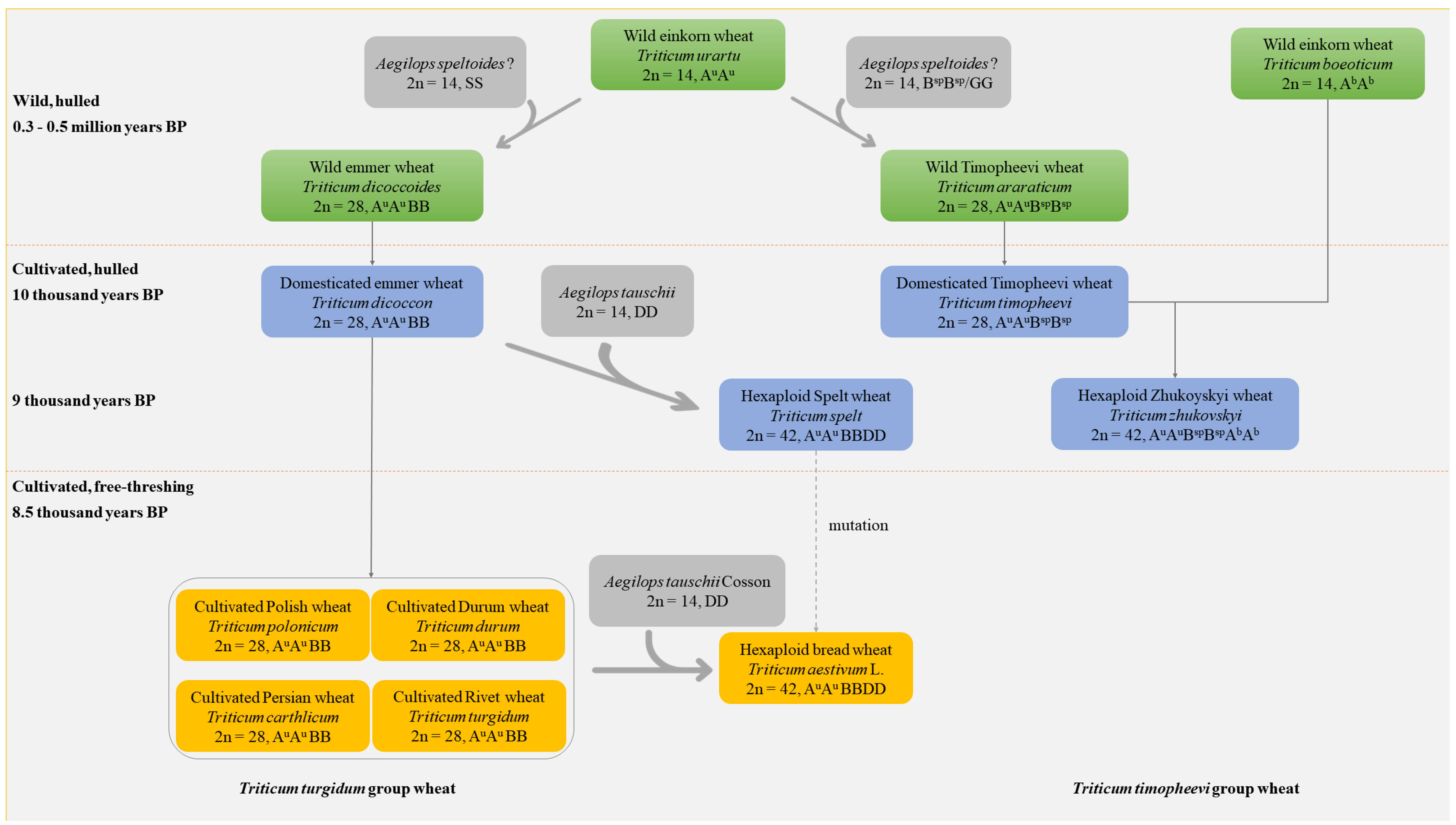 Ijms 23 02206 g001 Ijms 23 02206 g001