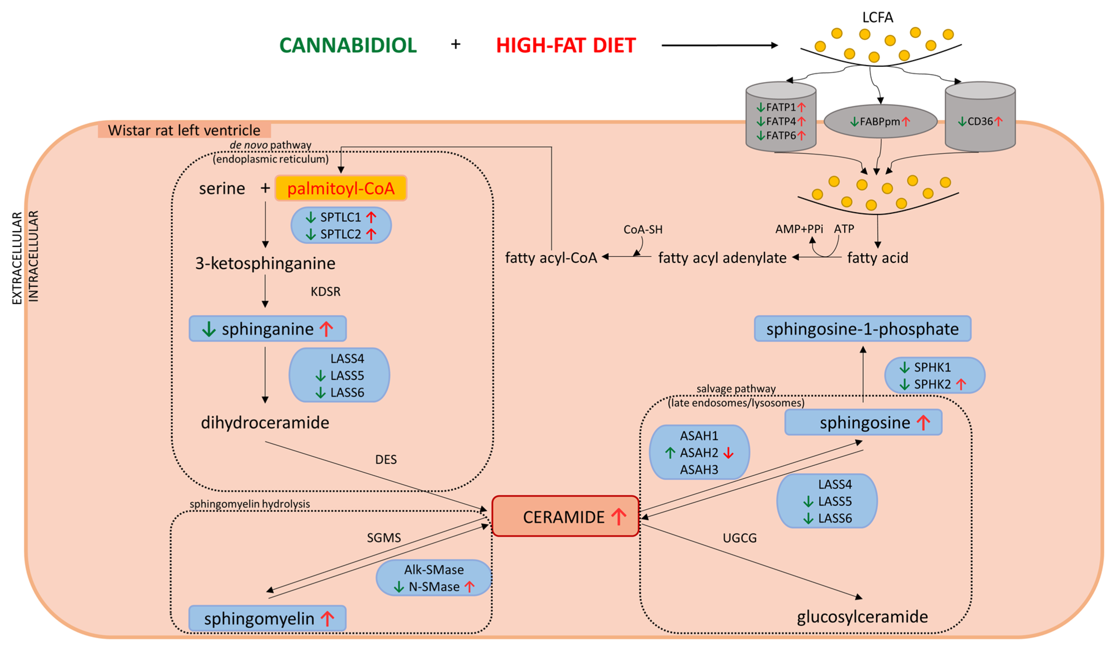 Ijms 23 02232 sch001