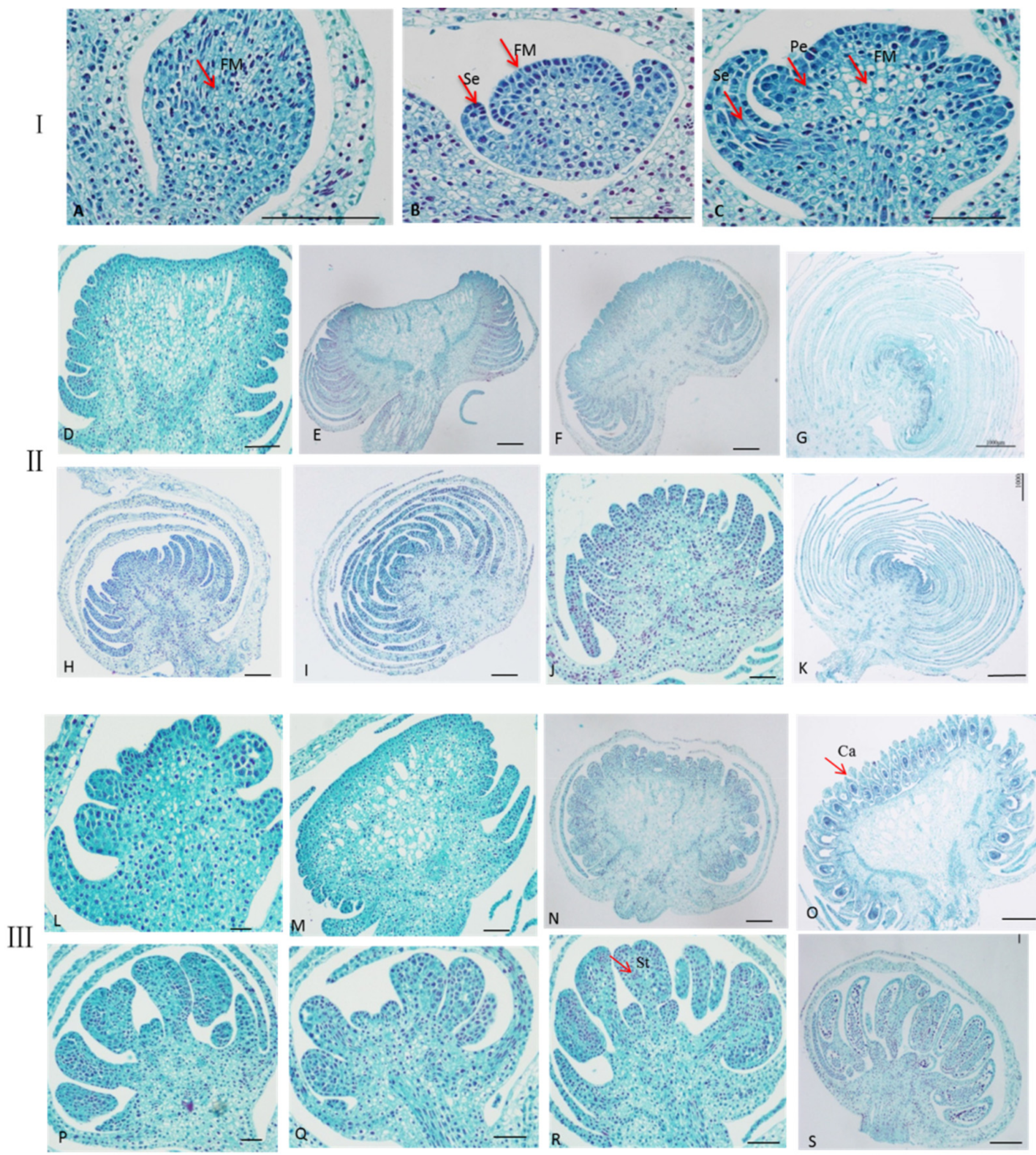 Ijms 23 02240 g002 Ijms 23 02240 g002