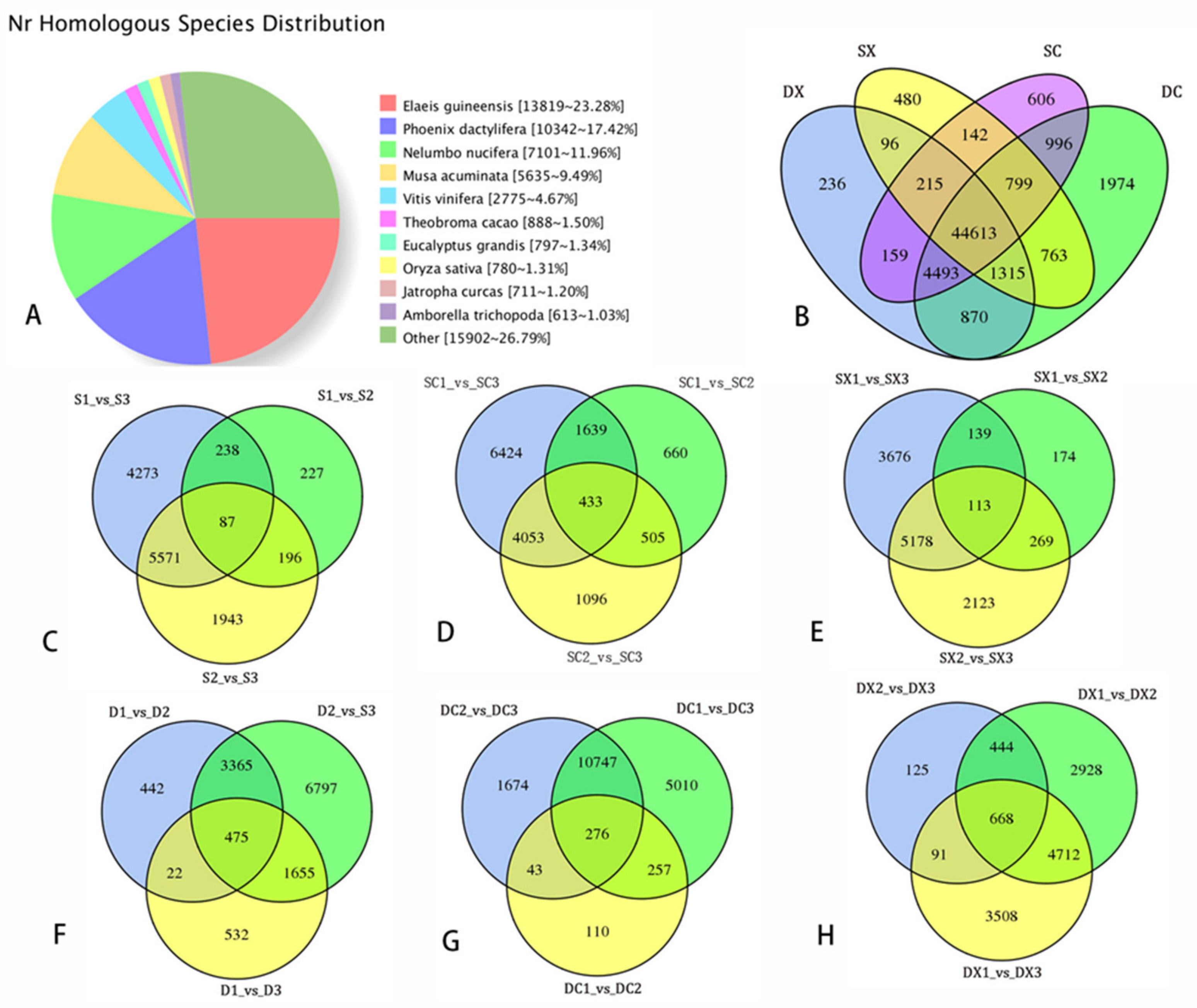 Ijms 23 02240 g003 Ijms 23 02240 g003