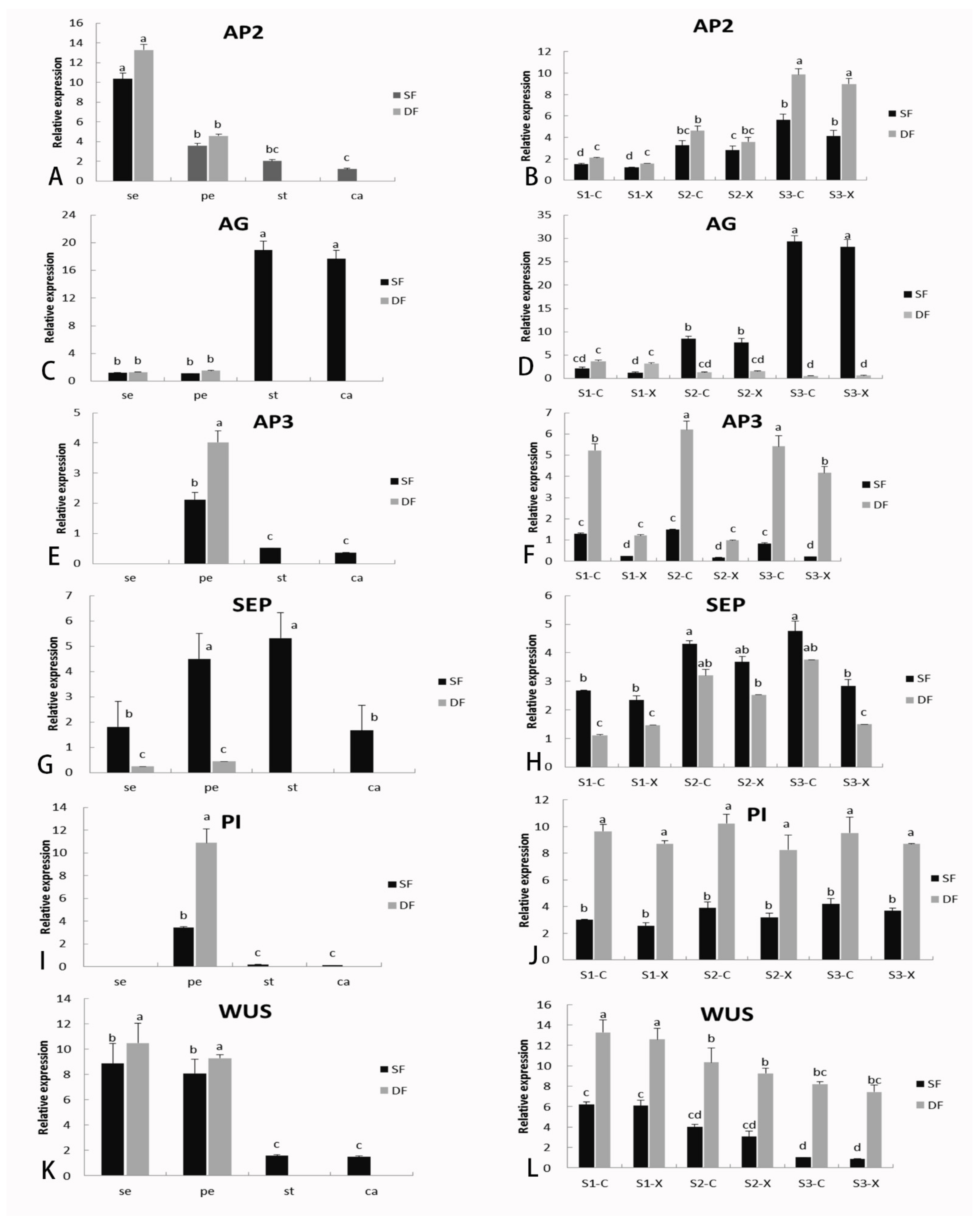Ijms 23 02240 g006 Ijms 23 02240 g006