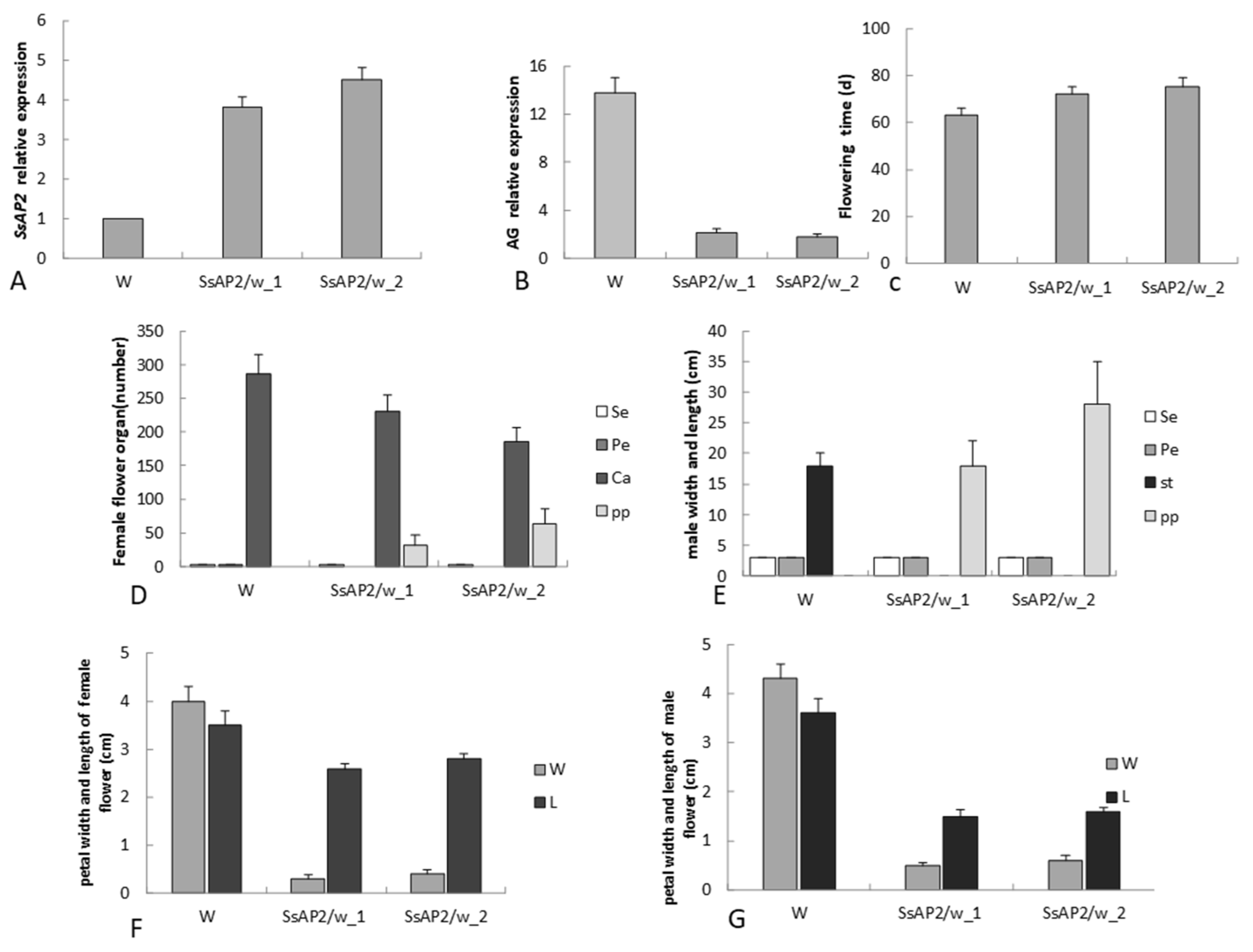 Ijms 23 02240 g009 Ijms 23 02240 g009