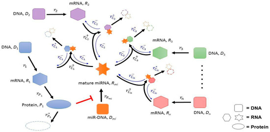 Ijms 23 02277 g001 550