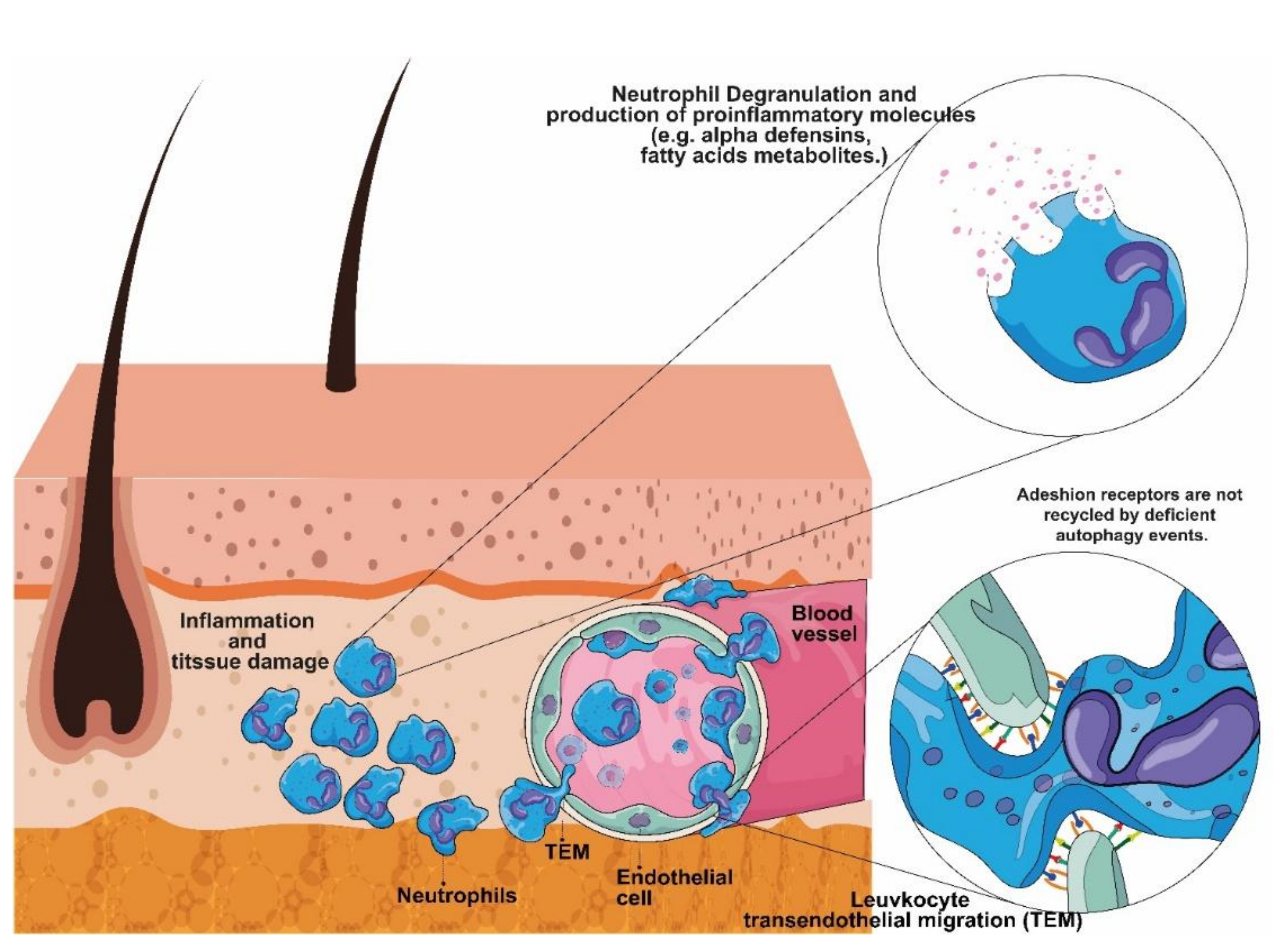Ijms 23 02278 g001 Ijms 23 02278 g001