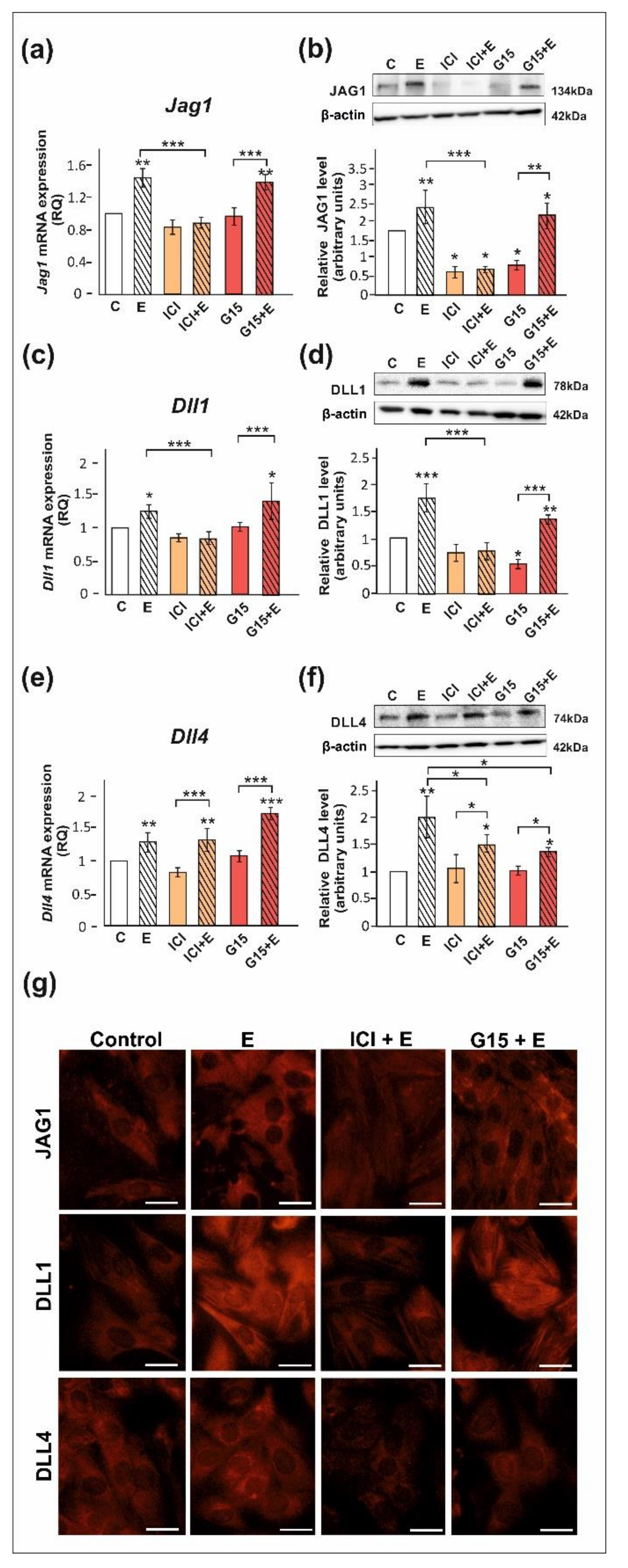 Ijms 23 02284 g003 Ijms 23 02284 g003