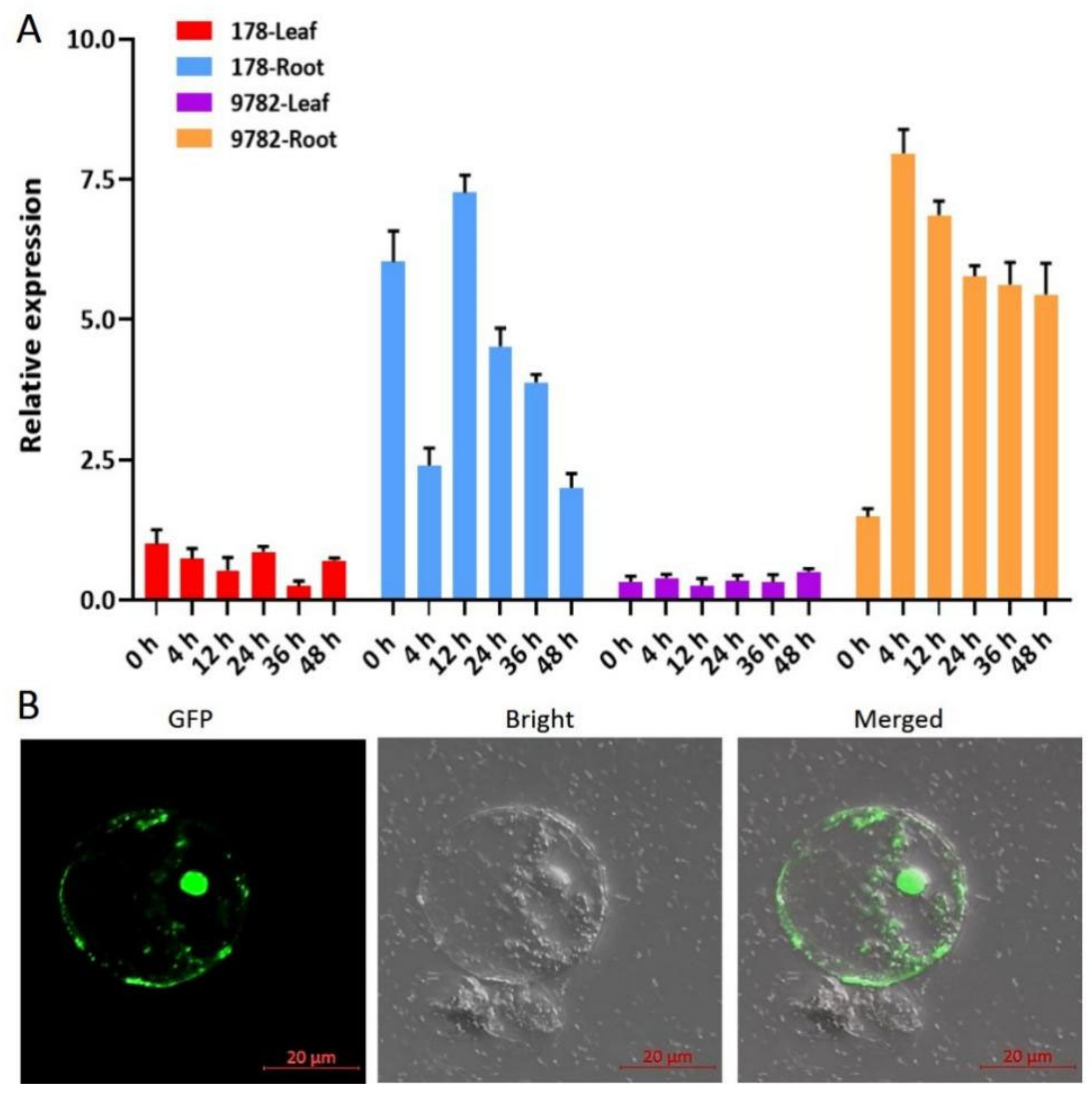 Ijms 23 02361 g002 Ijms 23 02361 g002