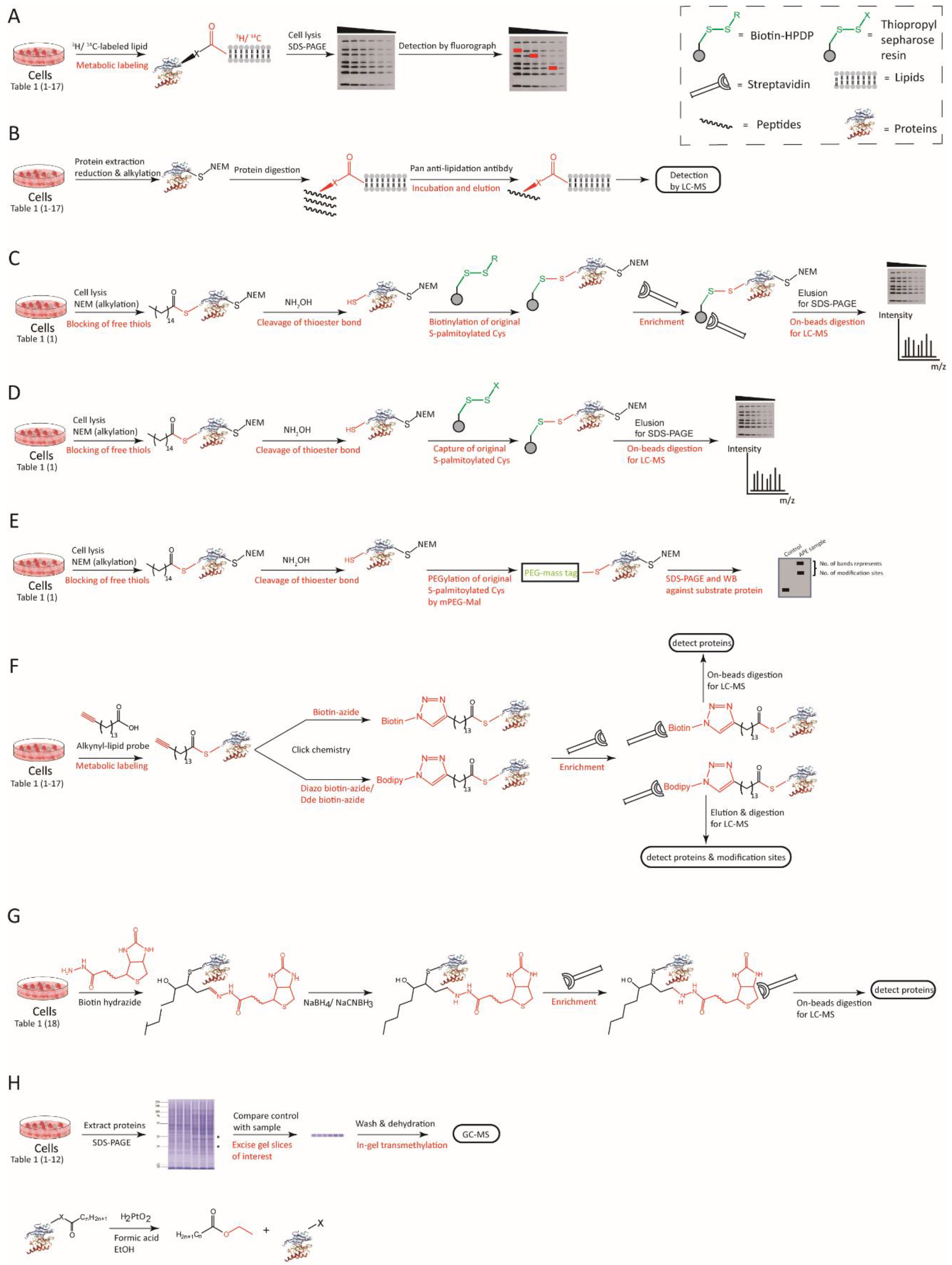 Ijms 23 02365 g001 Ijms 23 02365 g001