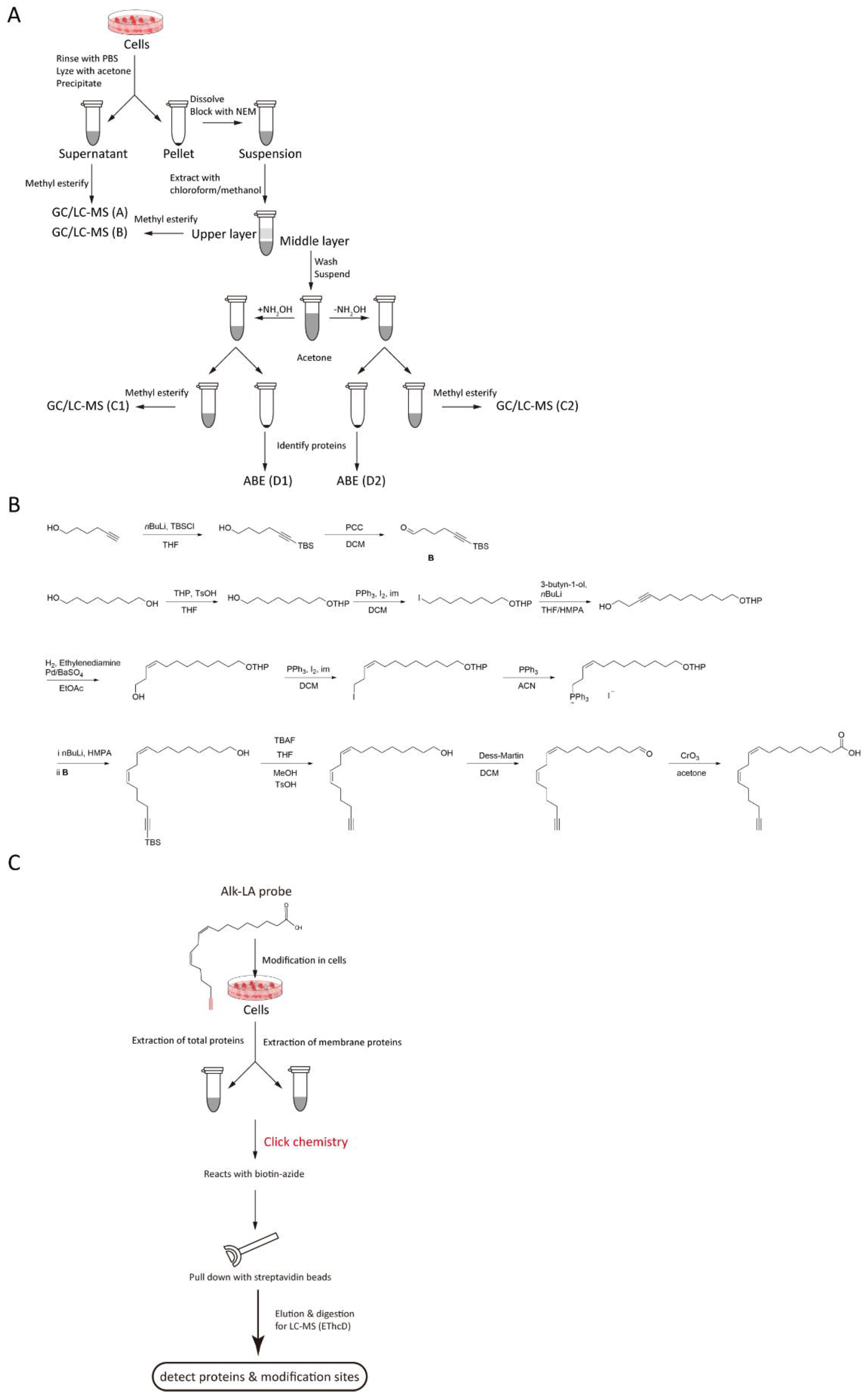 Ijms 23 02365 g002 Ijms 23 02365 g002