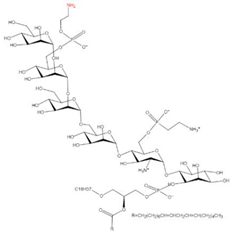 Ijms 23 02365 i014 Ijms 23 02365 i014