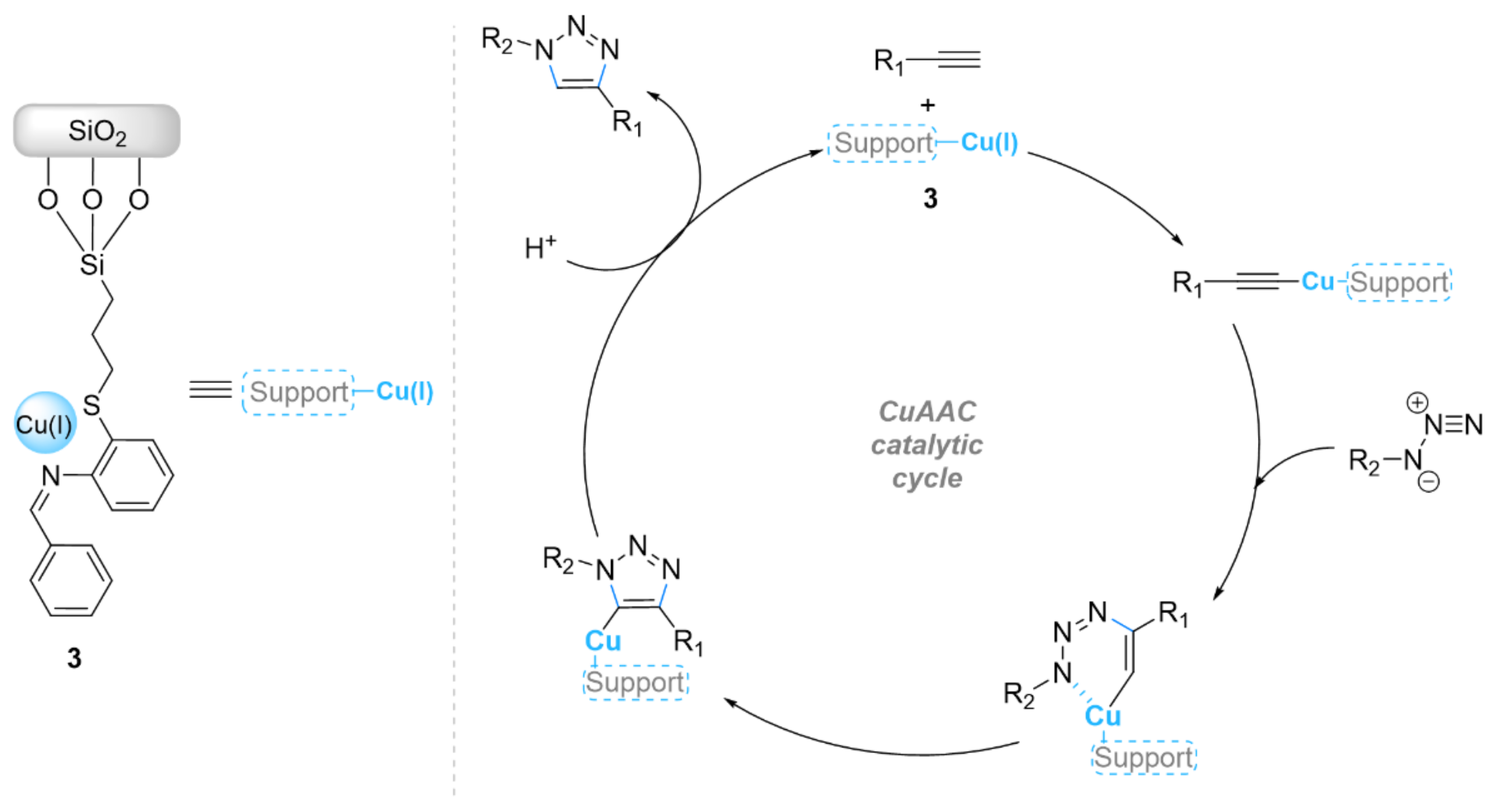 Ijms 23 02383 sch003